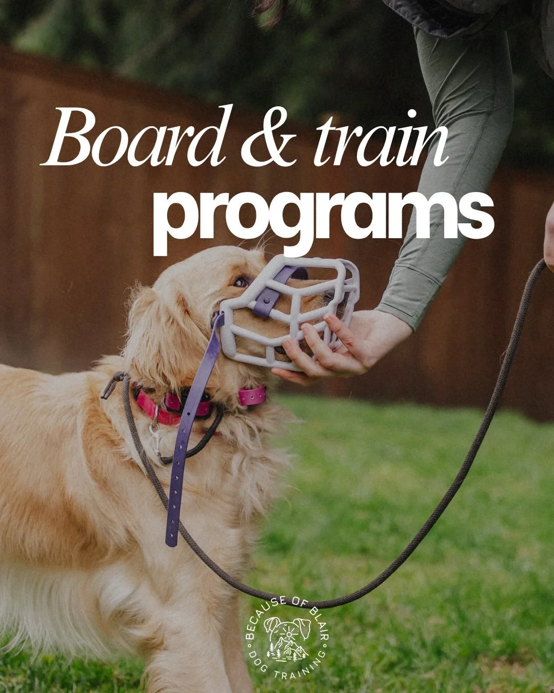 ✨Board &amp; Train Programs✨

A board &amp; train is when your dog stays with a trainer (me!) for an agreed upon time to receive consistent, hands on training. 

Board &amp; trains are not quick fixes, they are an investment! Think of it as time for 