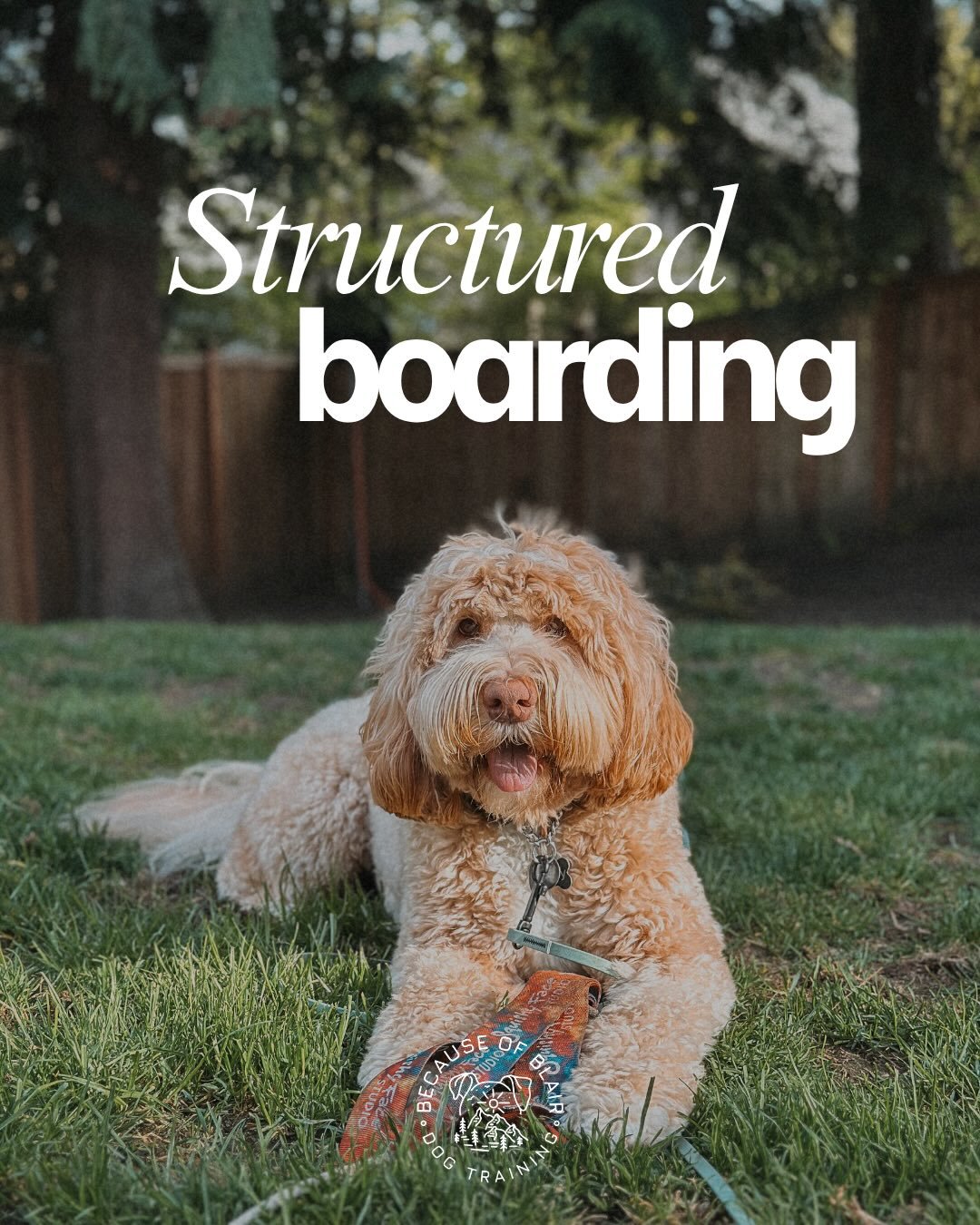 Let&rsquo;s chat ✨Structured Boarding✨

Structured boarding is a great alternative to traditional boarding options. I prioritize providing structure, daily fulfilling exercise and focus on neutrality instead of chaos. 

Structured boarding may be gre