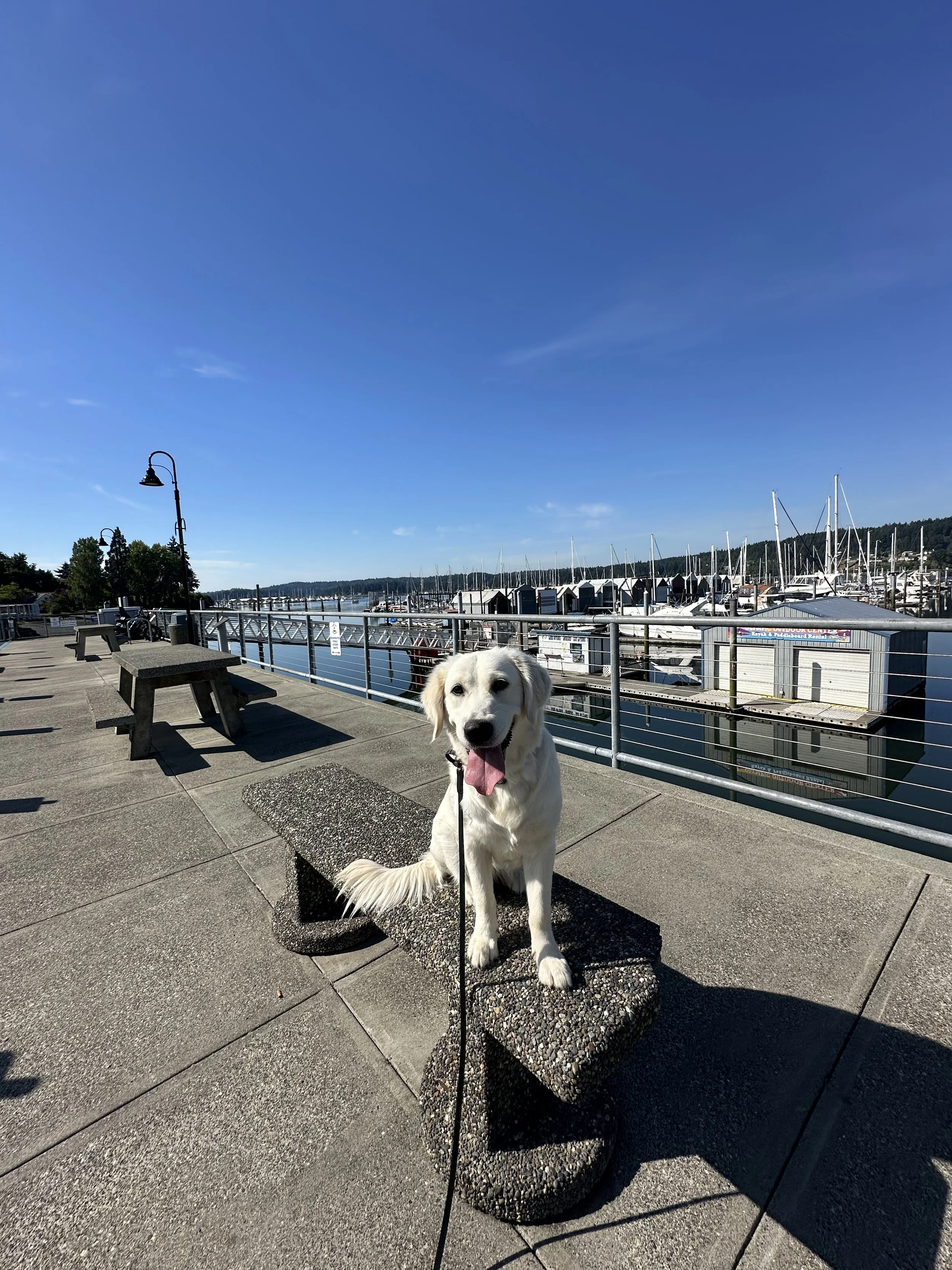 IMG_0494.jpeg