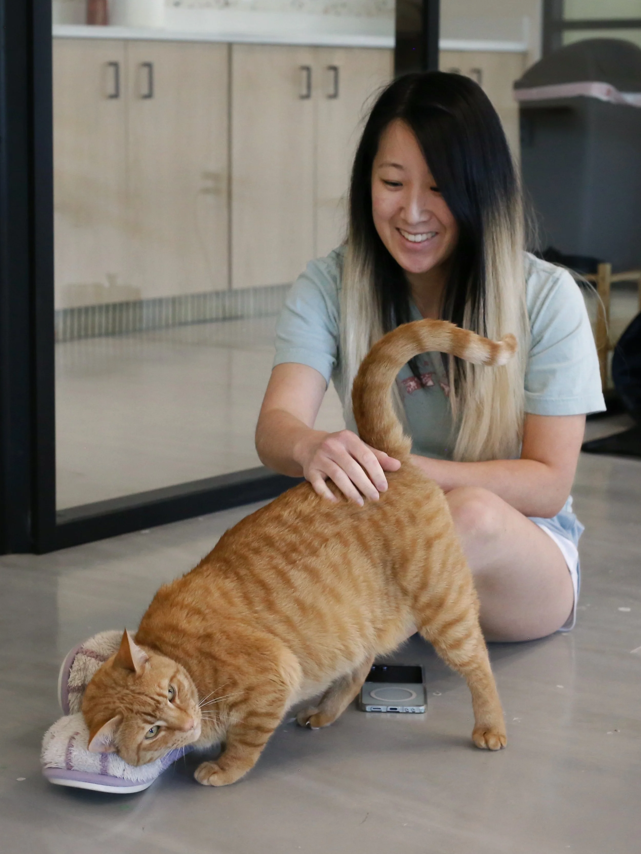 A woman with long black and blonde hair smiling and petting an orange tabby cat, which is on a white pet bed and drinking water from a pink bowl, inside a room with beige cabinets and a black pet carrier.