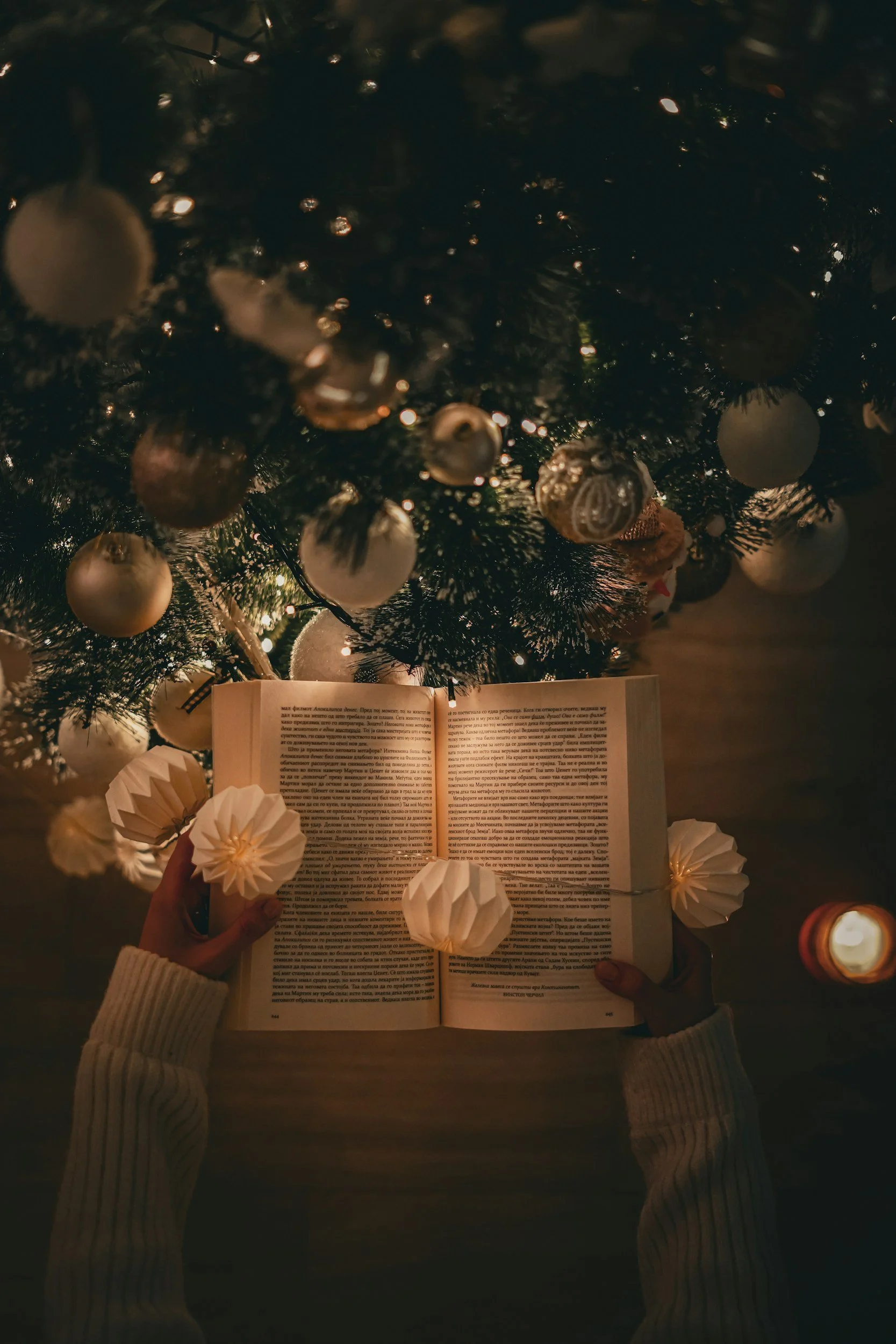 Holiday Book Fair
