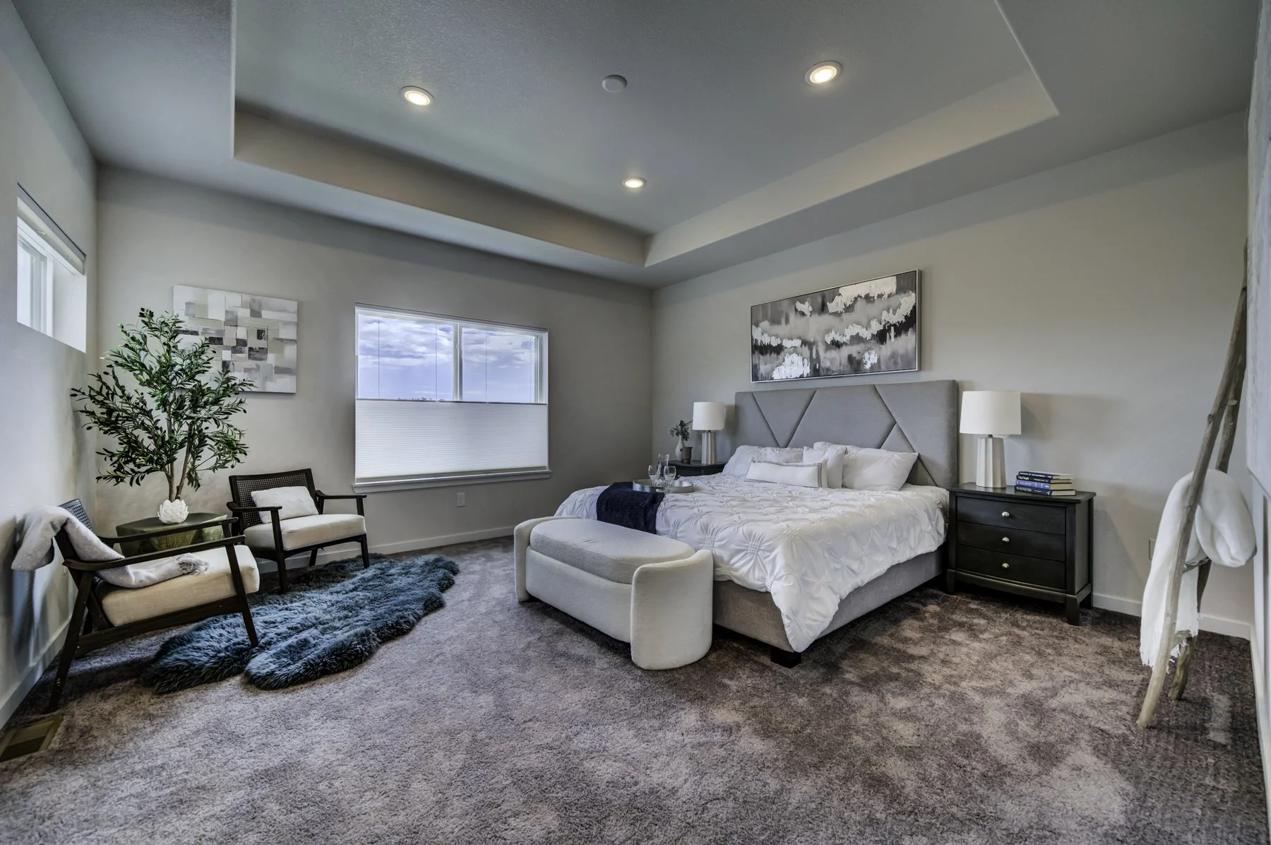 Synergy Homes Colorado