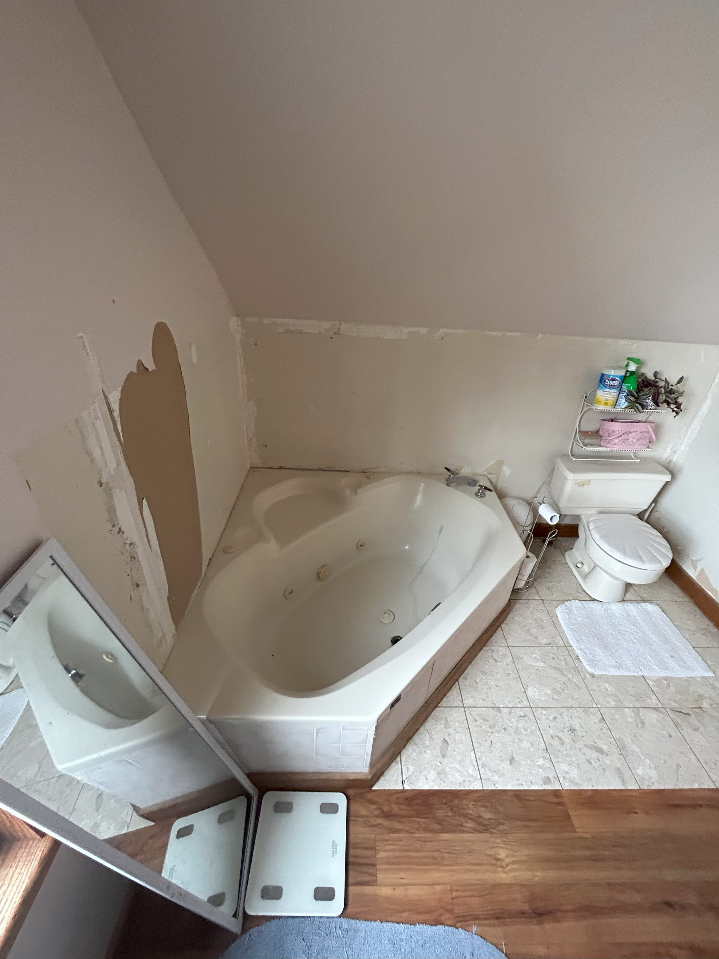 travis and bree bathroom before 2.jpg