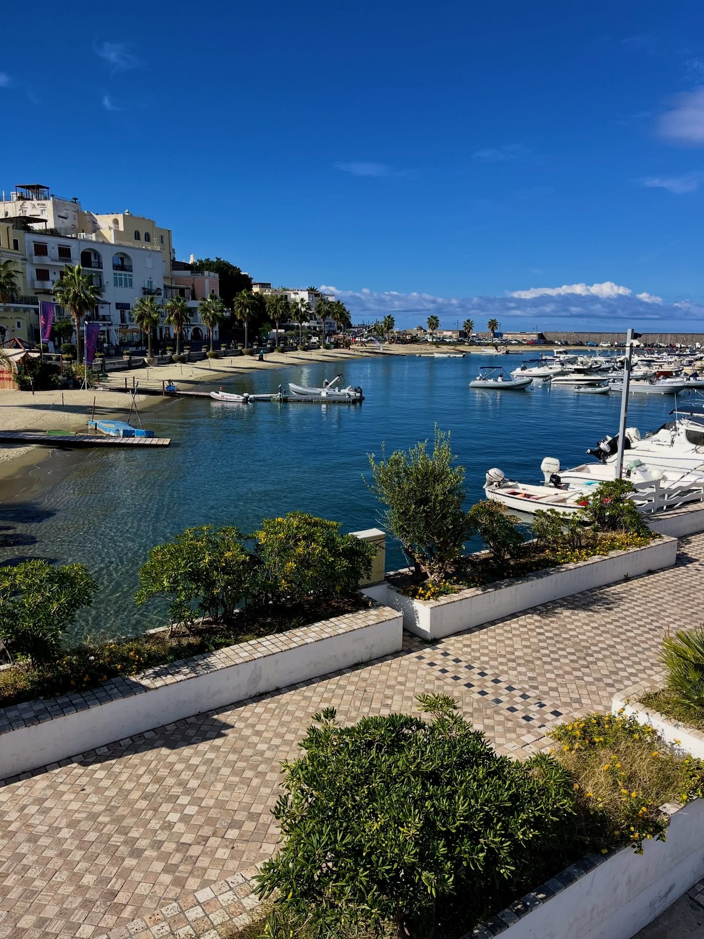 📍ISCHIA, ITALY 🇮🇹 

Slow mornings exploring the beautiful island of Ischia.

Starting the day with a swim in the hotel&rsquo;s thermal pools, then hopping on the bus to Forio to wander the historic centre. Getting lost down quaint Italian streets,