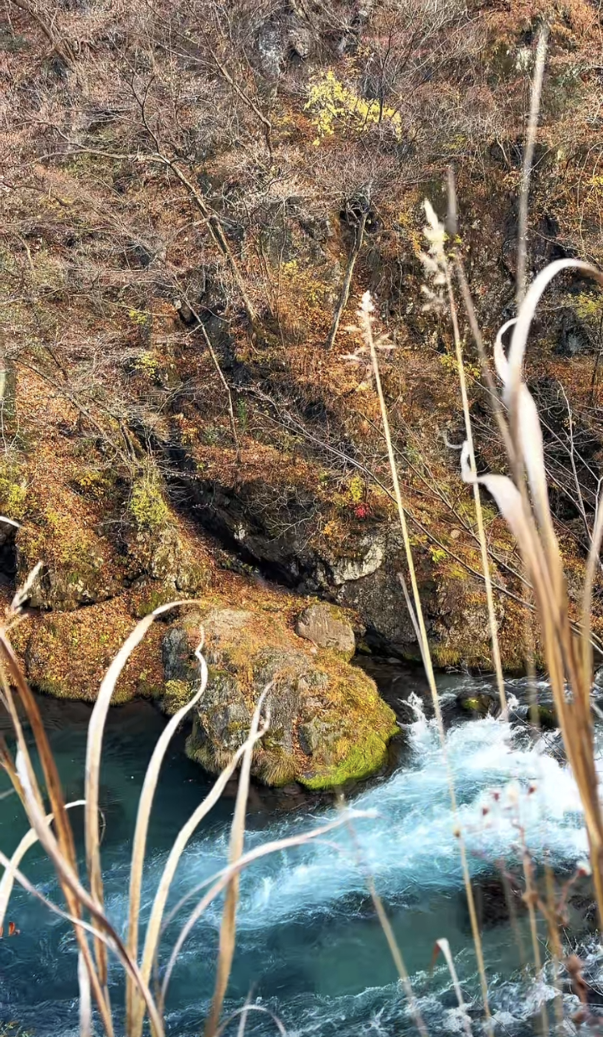 Screenshot 2026-01-29 at 1.29.51 PM.png