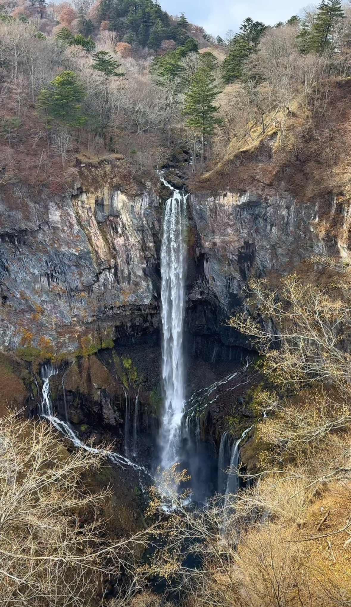 Screenshot 2026-01-29 at 1.12.33 PM.png