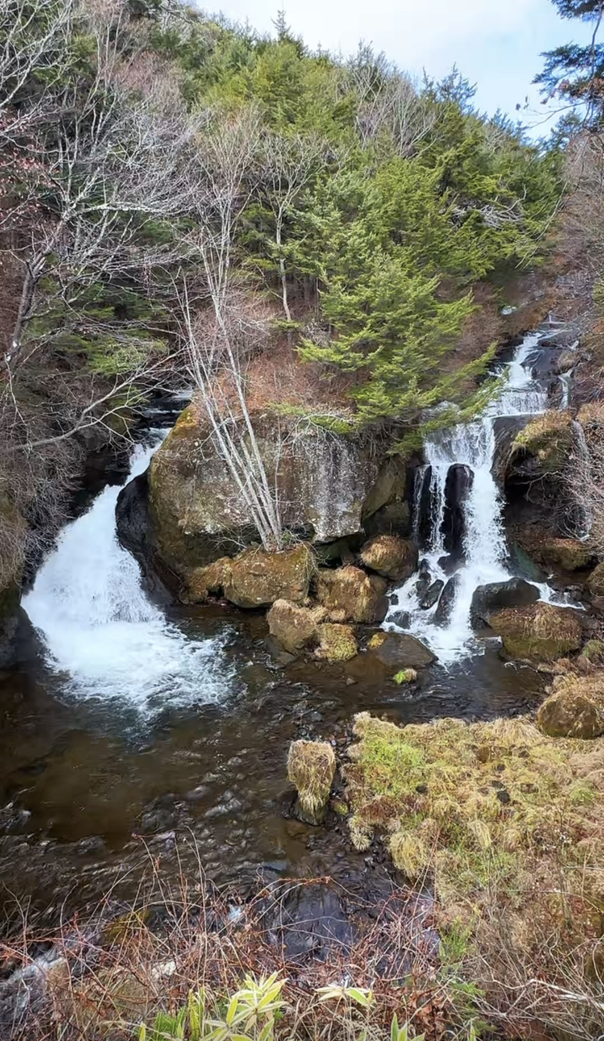 Screenshot 2026-01-29 at 2.19.03 PM.png