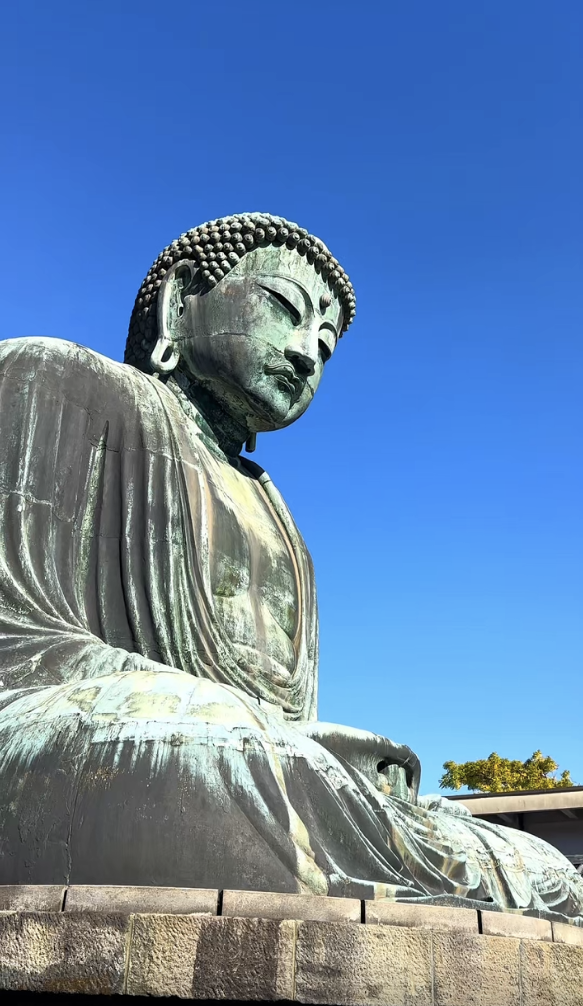 Screenshot 2026-01-29 at 12.49.38 PM.png