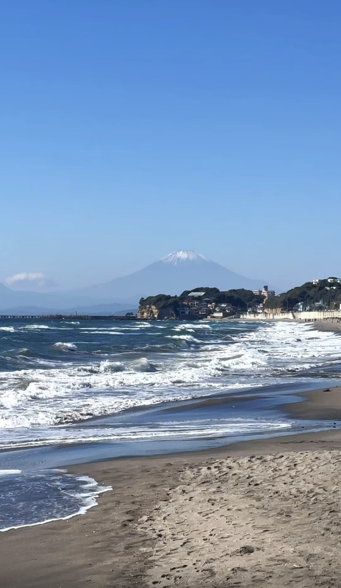 Screenshot 2026-01-29 at 12.59.23 PM.png