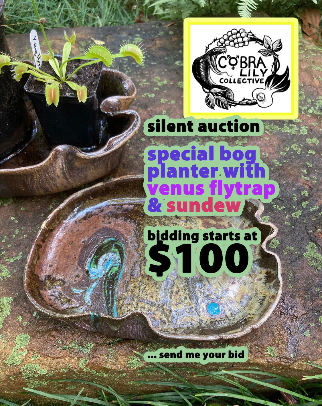 SILENT AUCTION : bog plants and natural planter! Online and on SAT 6/7 PROCEEDS go to The Cobra Lily Collective (White River Jct, VT) for Trans Health Care! come to the garden PRIDE Celly&amp;Sale or message your bid to me.