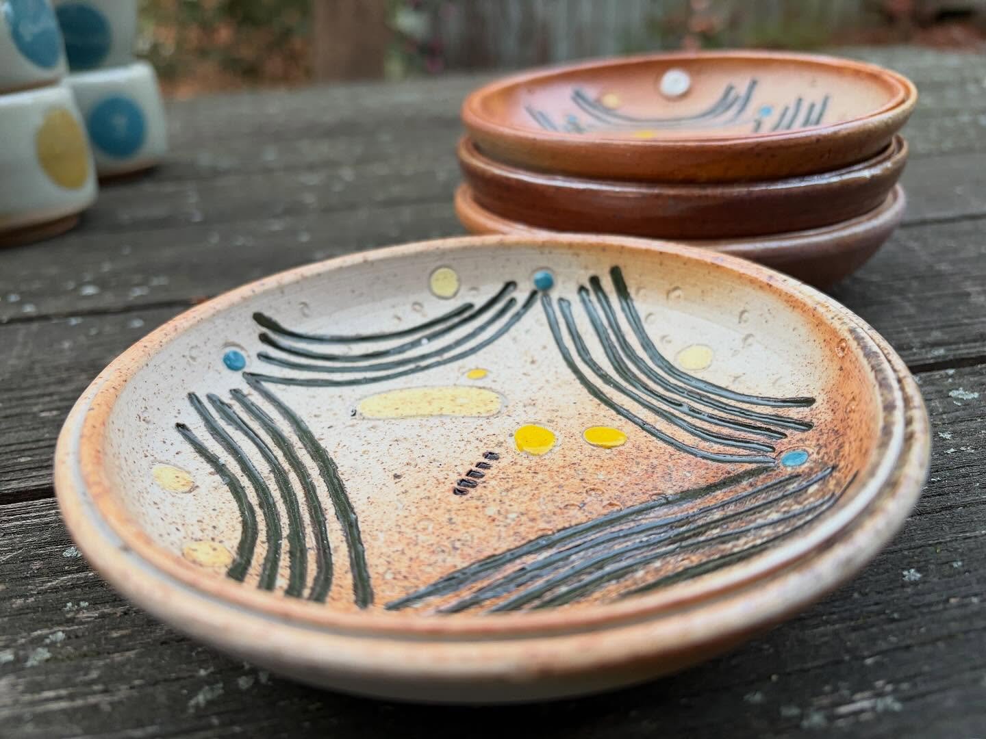 amO&rsquo; : Cyanobacteria was the first organism to make its own food from the sun!