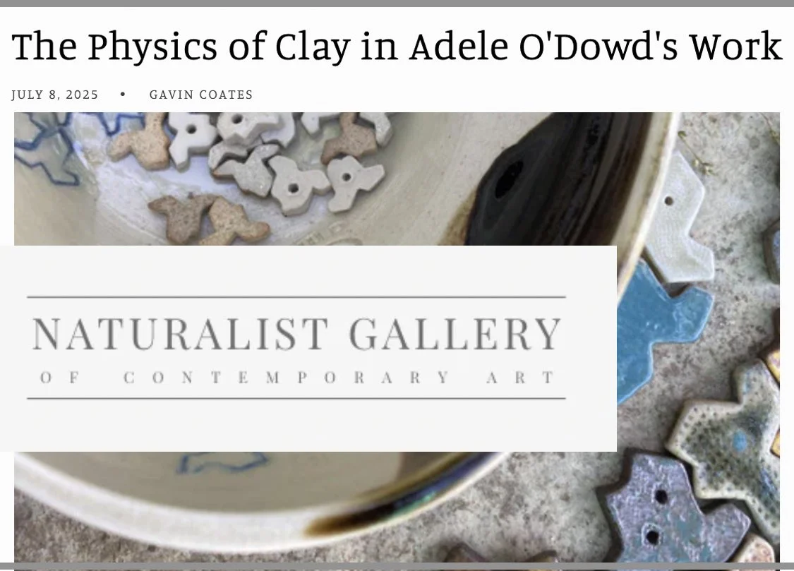 Exhibition | Naturalist Gallery 