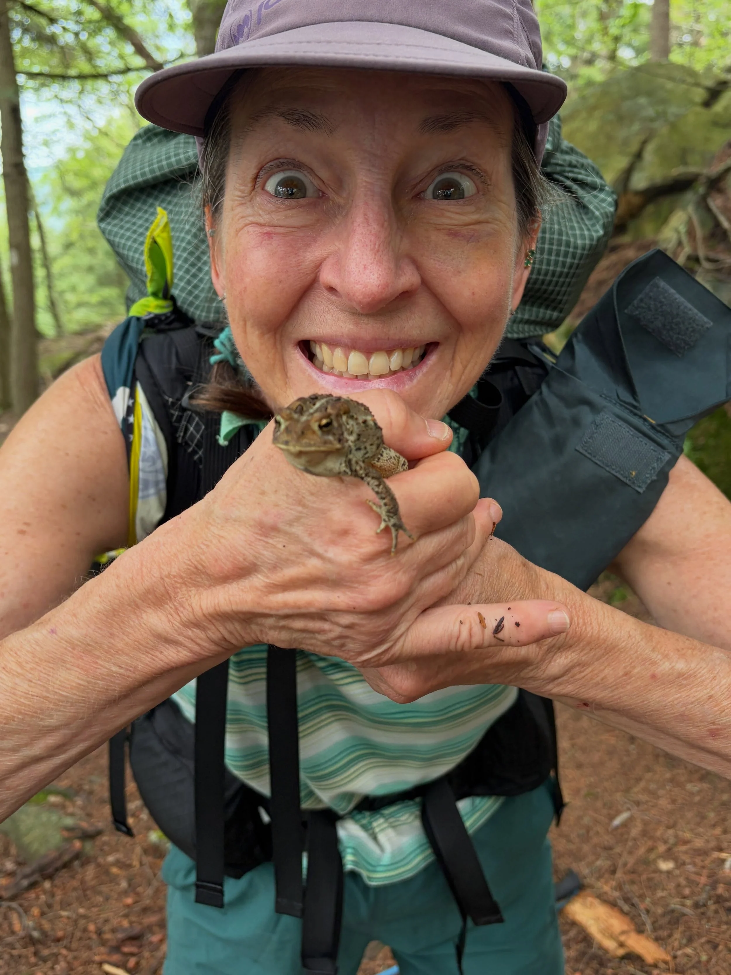 We had an amazing Long Trail adventure and picked up some friends along the way.
