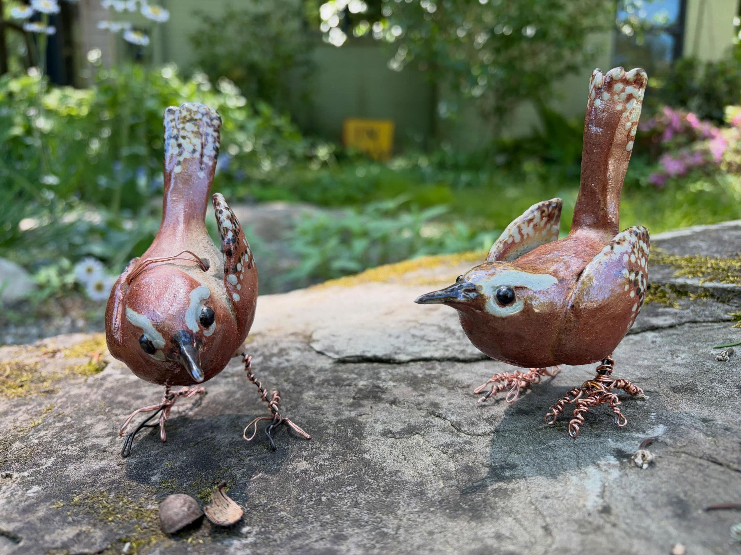 amO&rsquo; : Carolina wrens Thryothorus ludvicianus are year round native residents in MD and pairs will often duet a loud rolling &ldquo;tea-kettle, tea-kettle, tea-kettle&rdquo;!