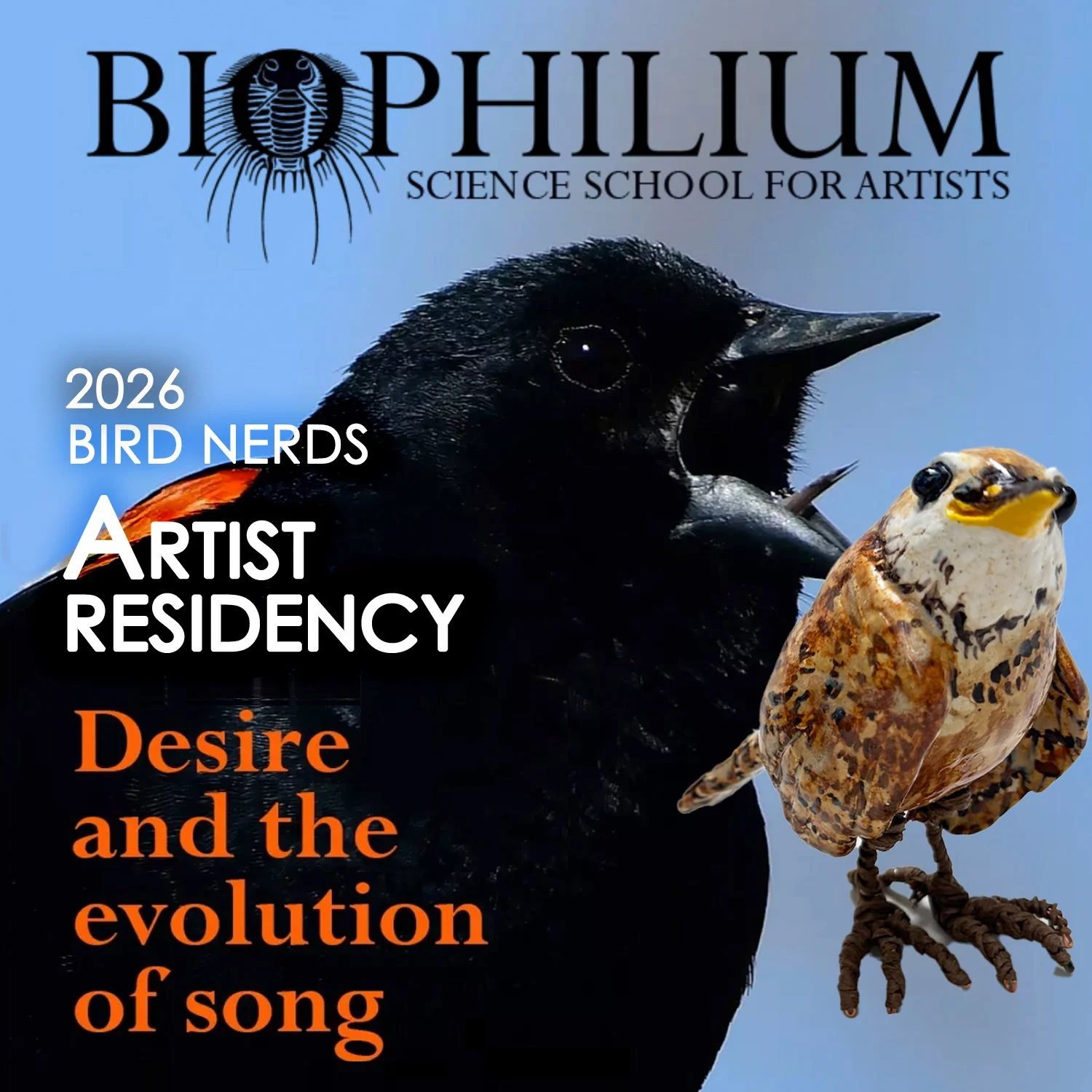 Biophilium 2026      Artist Residency : Bird Nerds
