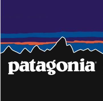 Patagonia Digital Marketing Analysis