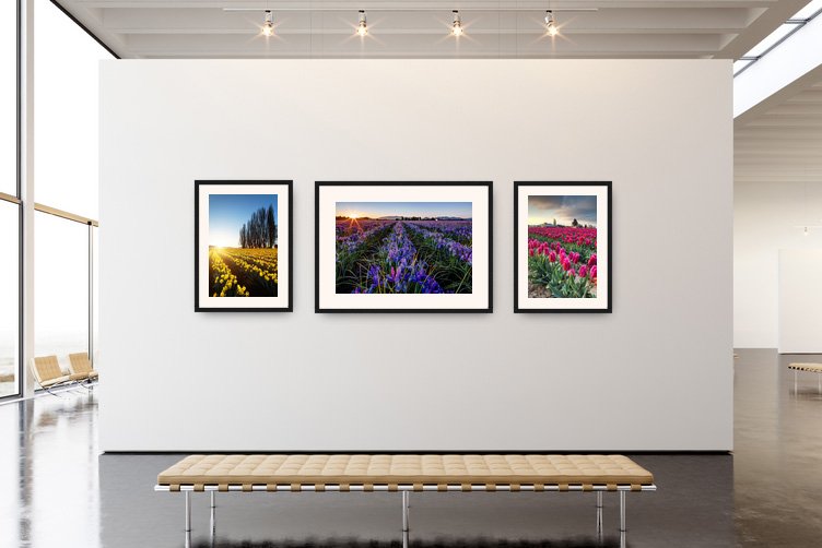 AAT2a-framed-16x24-gallery-wall.jpg