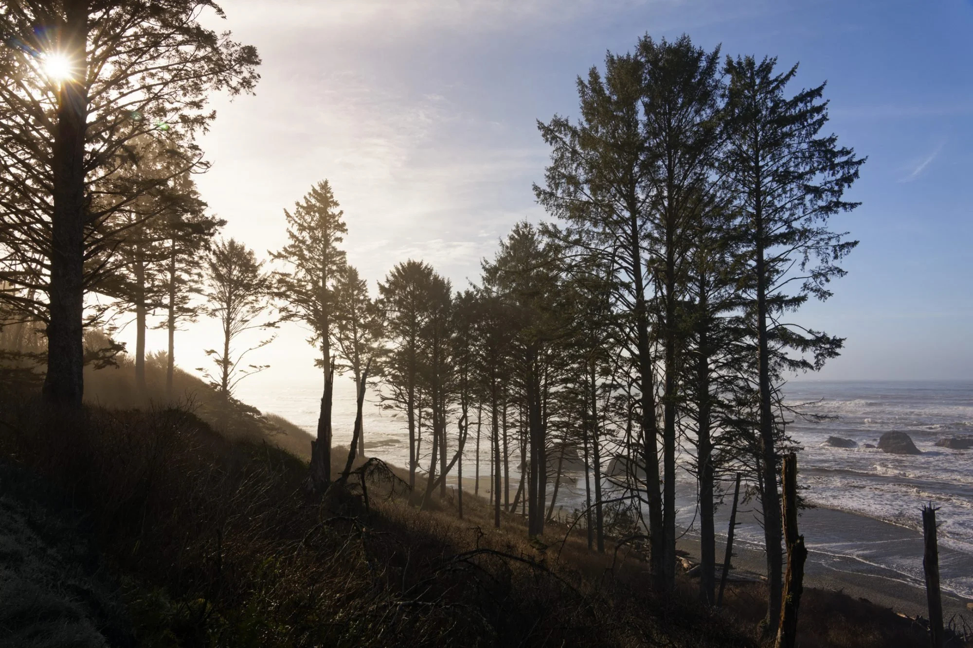 Ruby Beach Olympic National Park