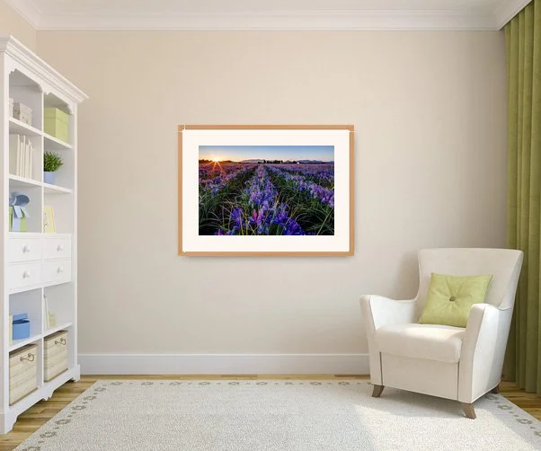 AAT2a-framed-16x24-living-room.jpg