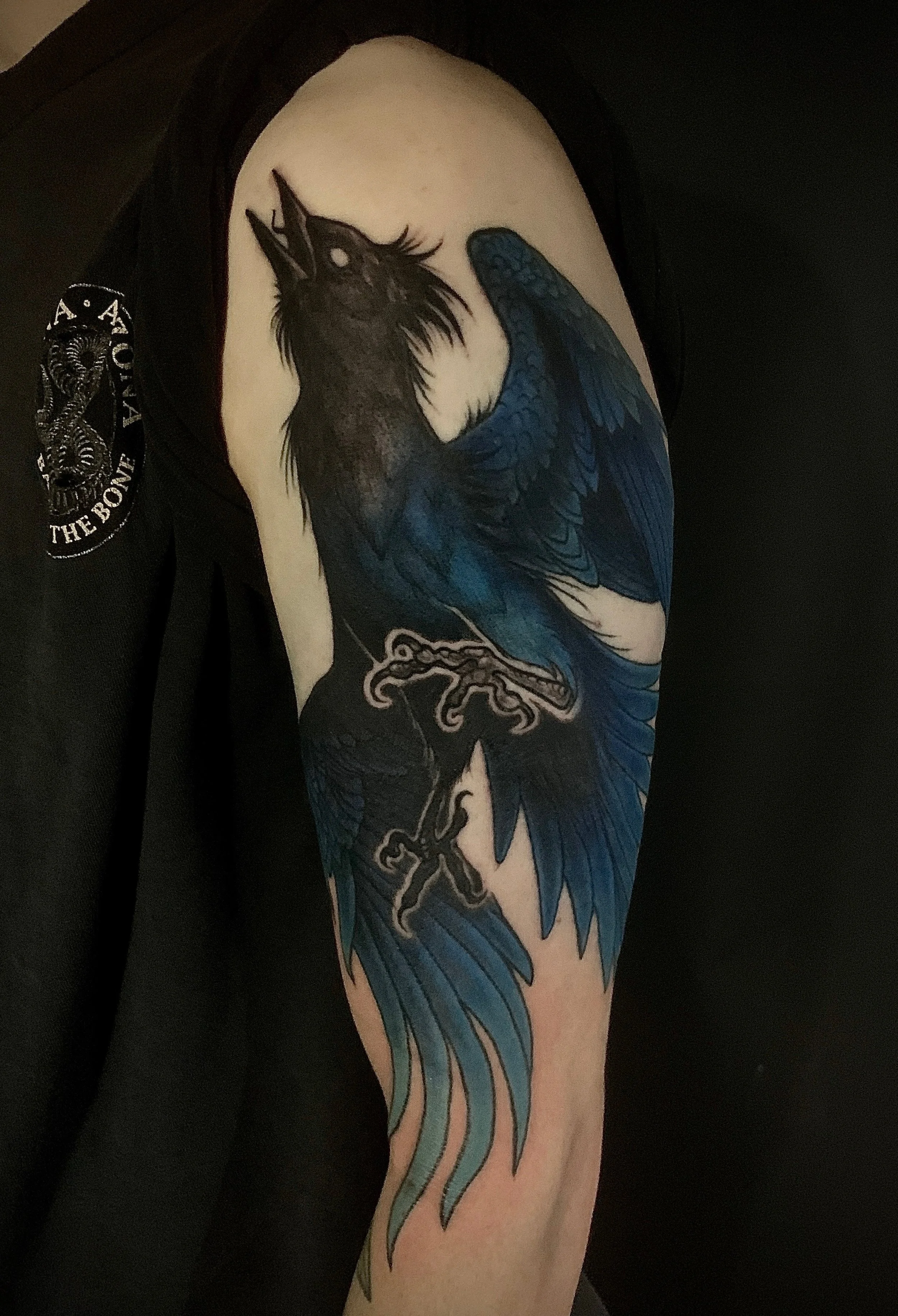 Tattoo of a stylized Steller's Jay in flight, with detailed feathers on a person's upper arm.