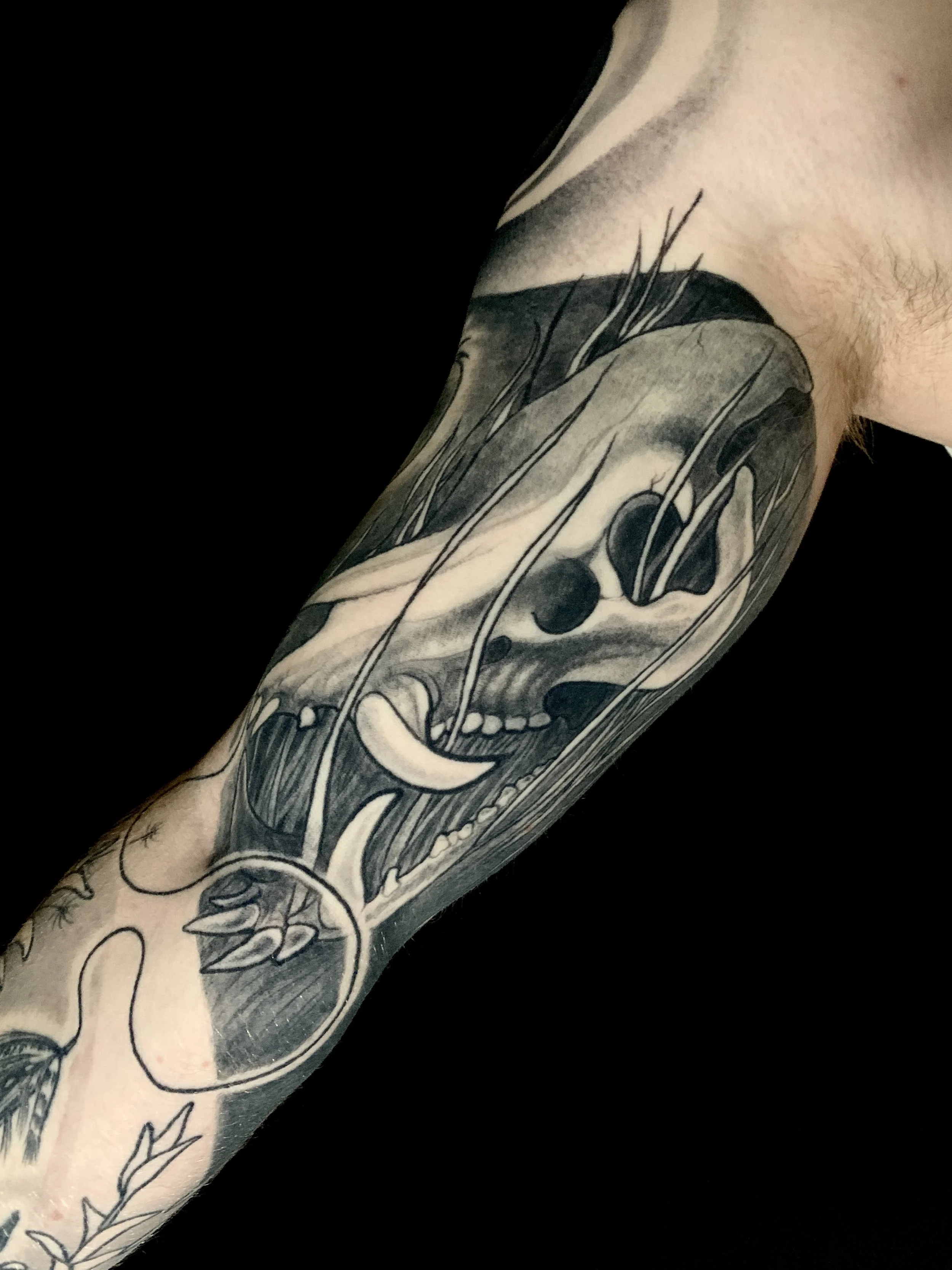 Close-up of a black and gray tattoo of a realistic boar skull with intricate details, on a person's inner arm.