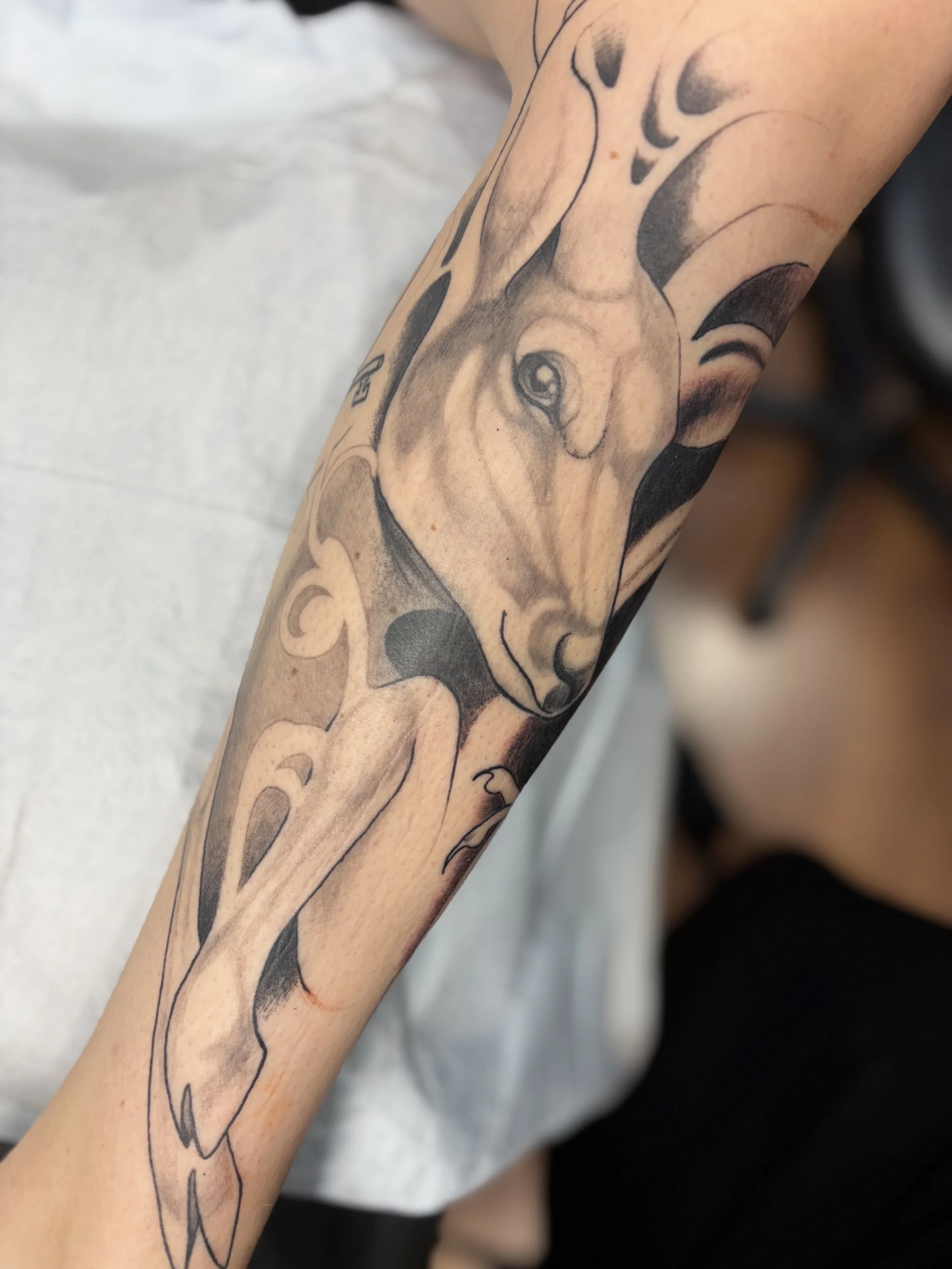 Black and gray tattoo of a wolf on a person's forearm.
