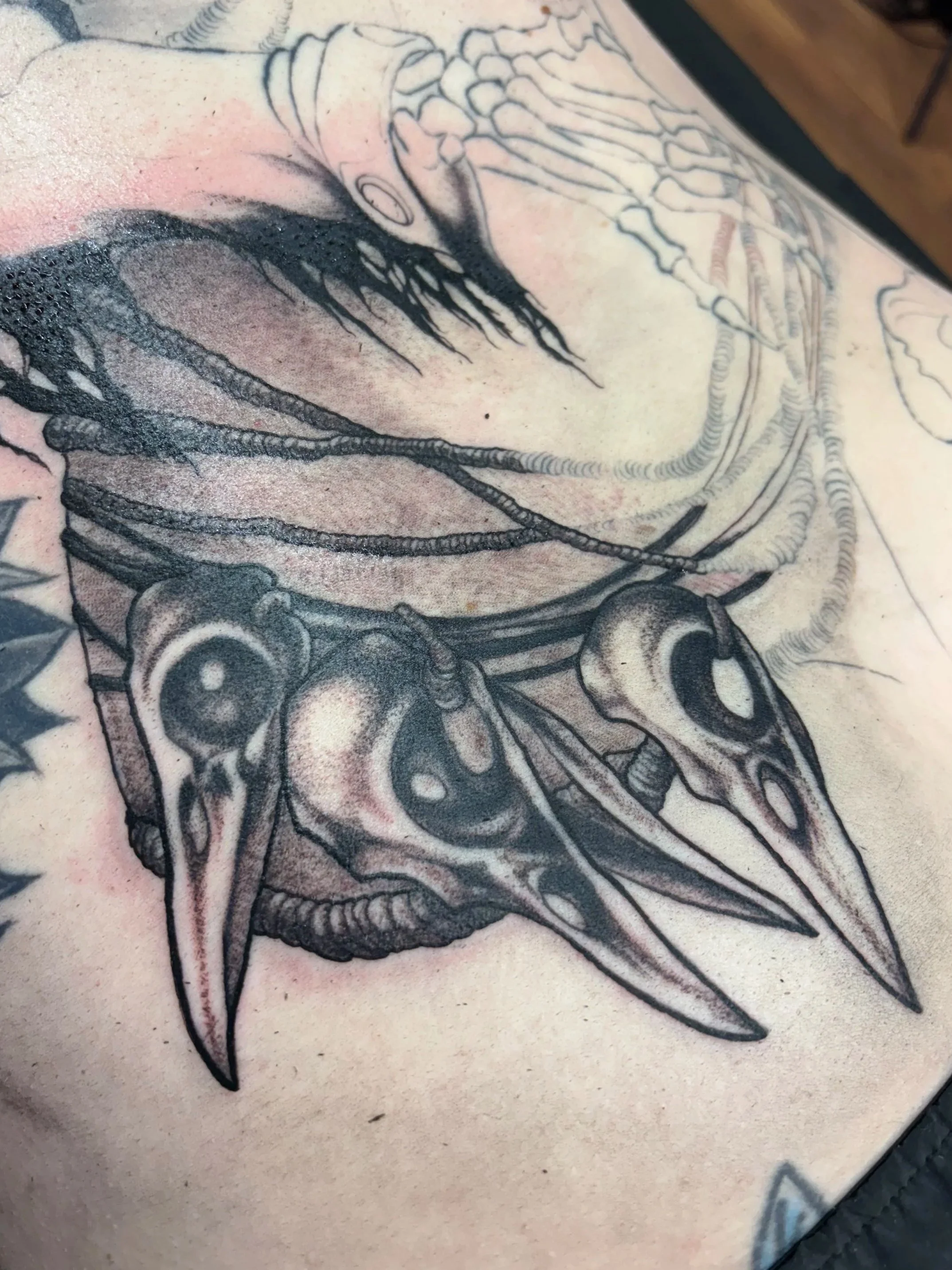 Close-up of a tattoo depicting a bird skull with detailed shading and anatomical features.
