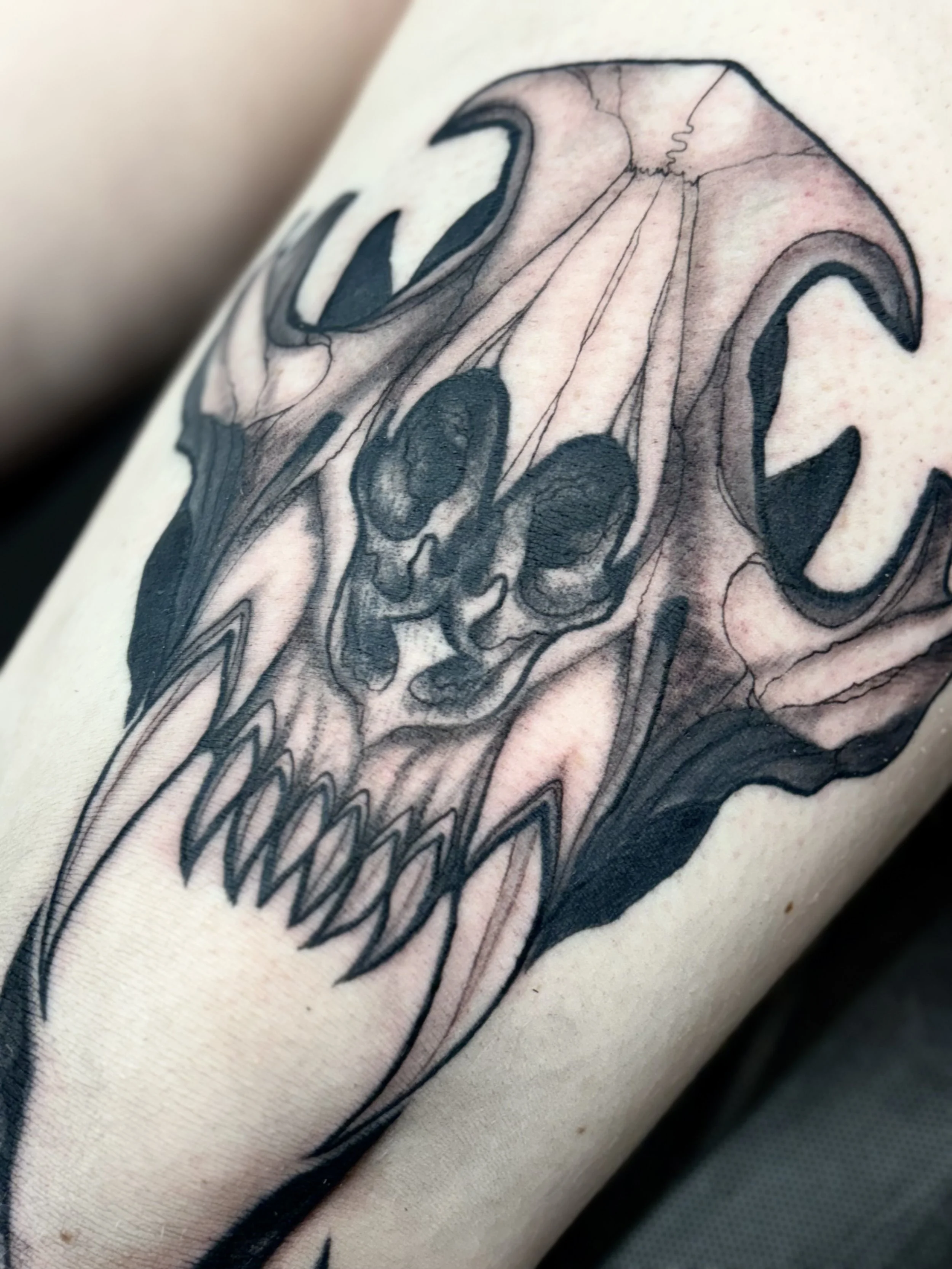 Tattoo of a wolf skull with dark shading on a person's knee.