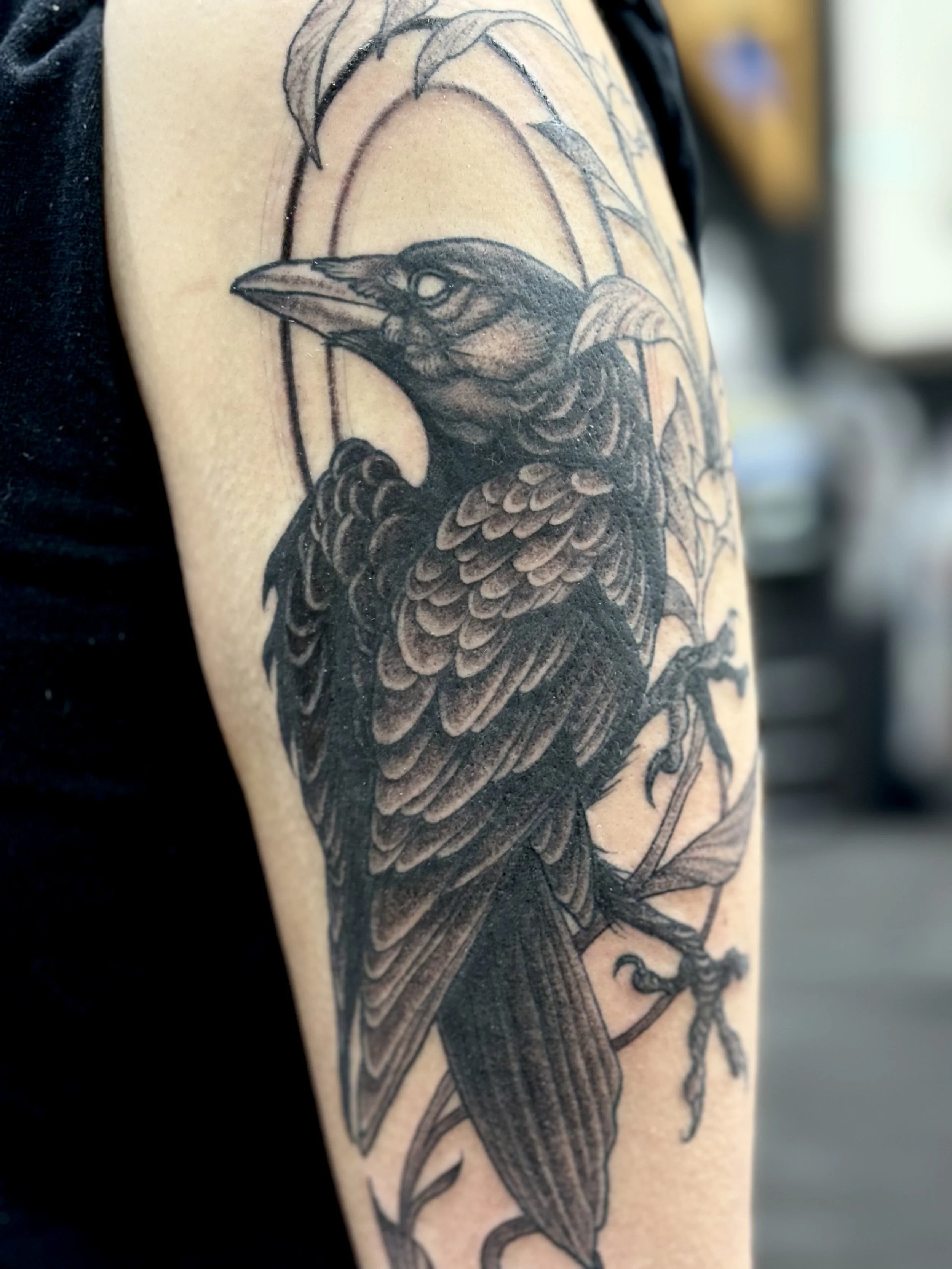 A black and gray tattoo of a crow perched on a branch on a person's upper arm.