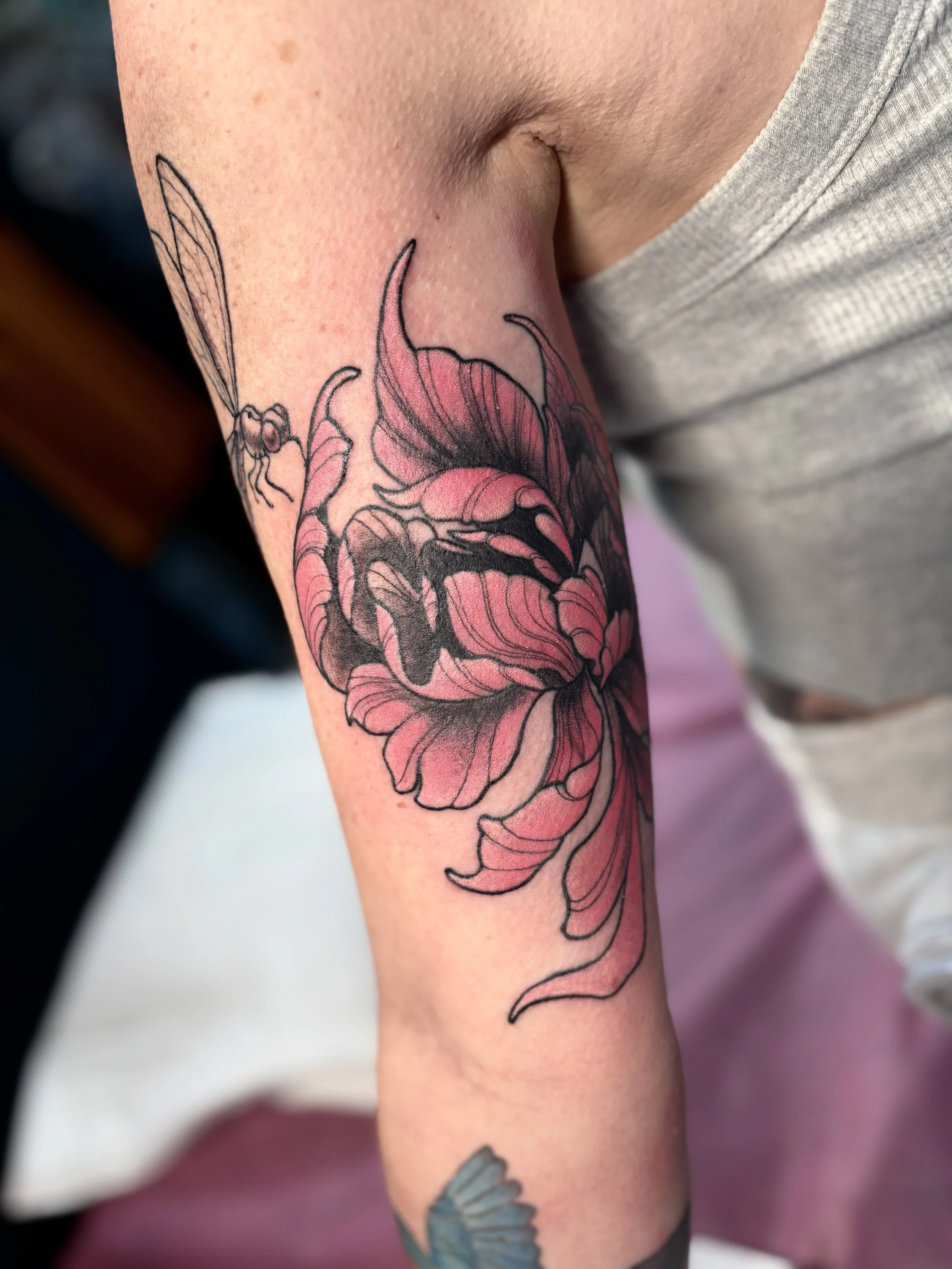 Tattoo of a pink peony flower with black outlines on person's upper arm.
