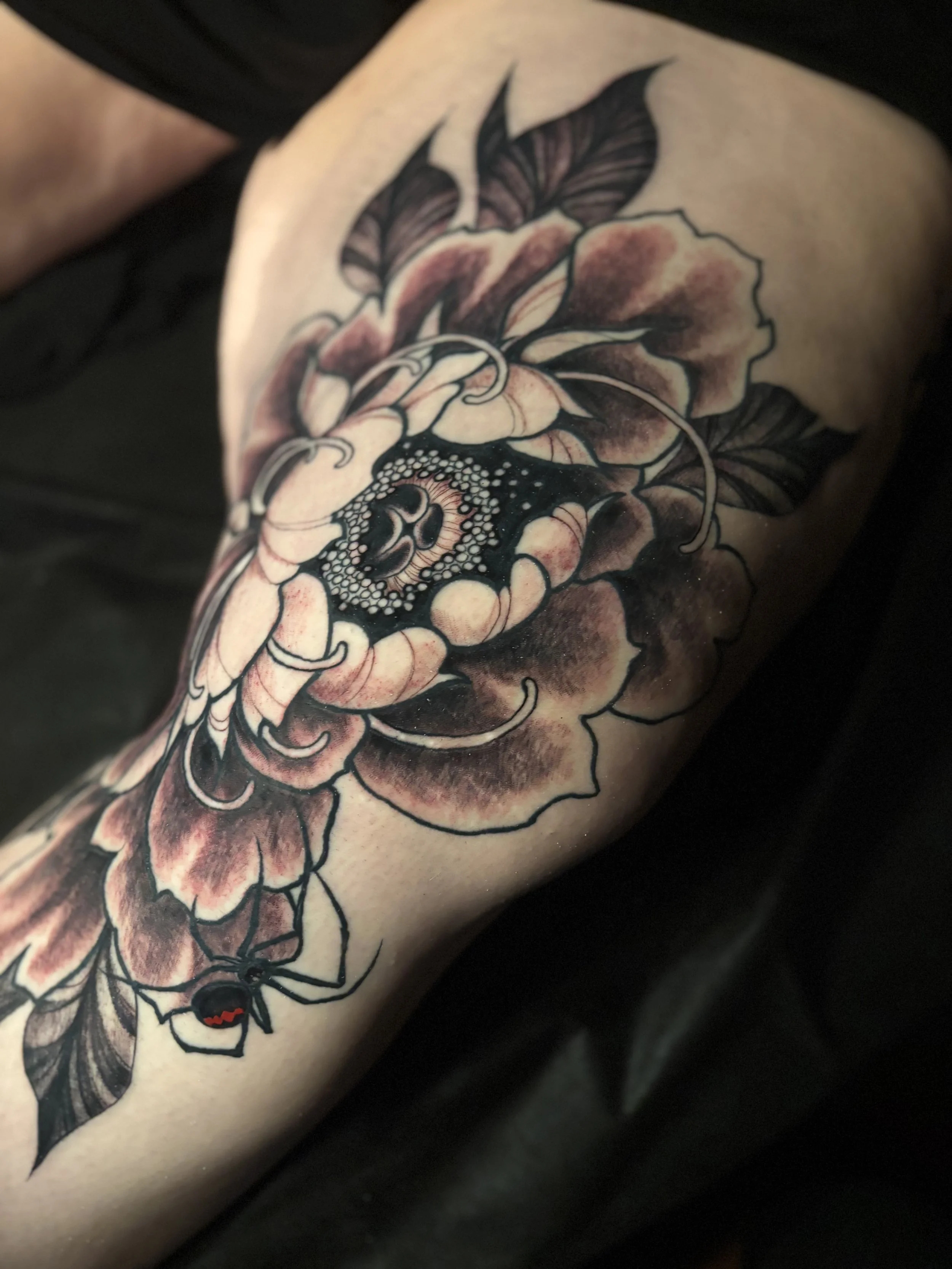 Tattoo of a large black peony flower with leaves, and a black widow spider hanging from the flower.