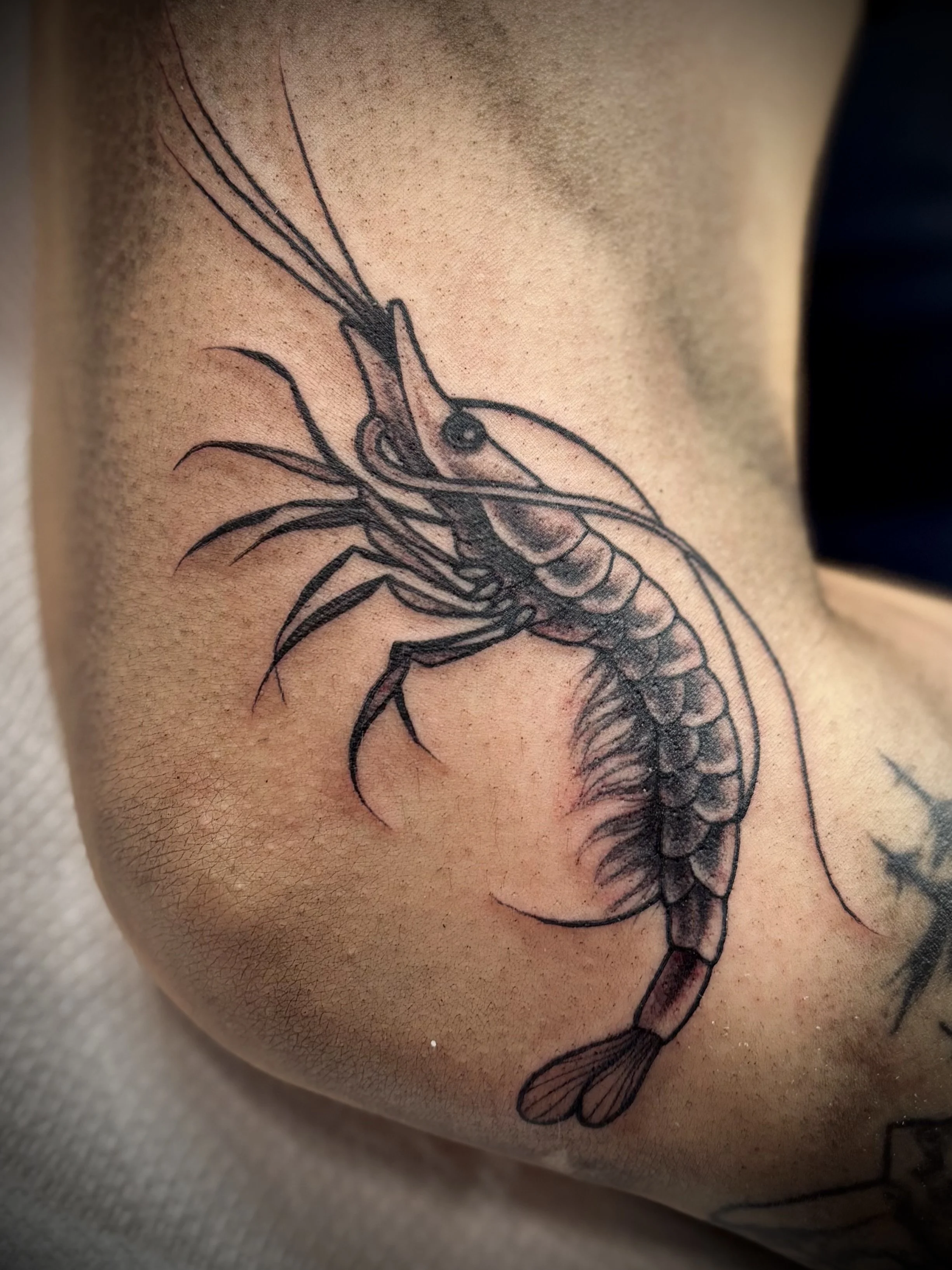 Tattoo of a cute shrimp on a person's knee!