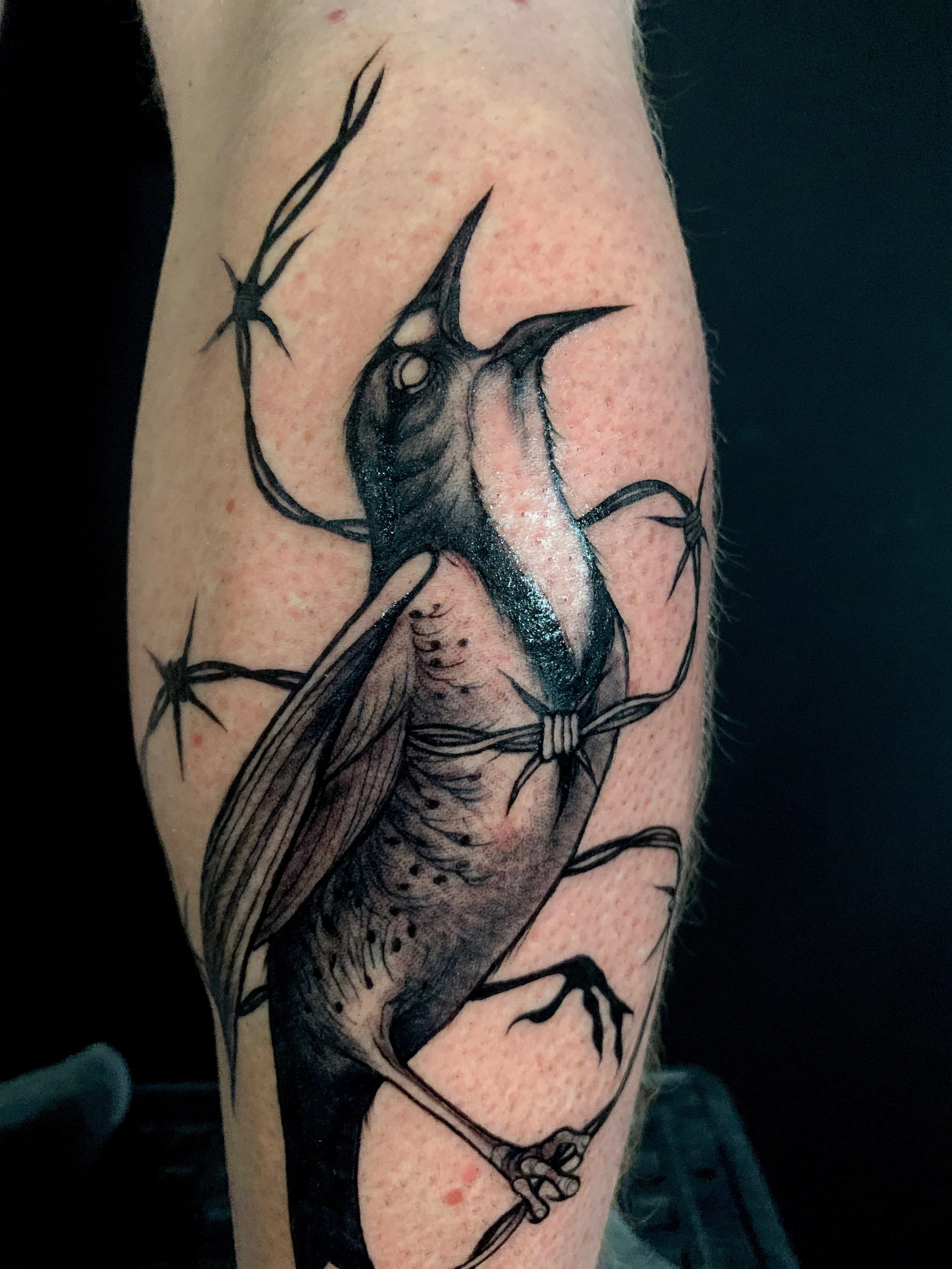 Black and gray tattoo of a mythical insect-like creature with wings, sharp claws, and an elongated, angular head on a person's arm.