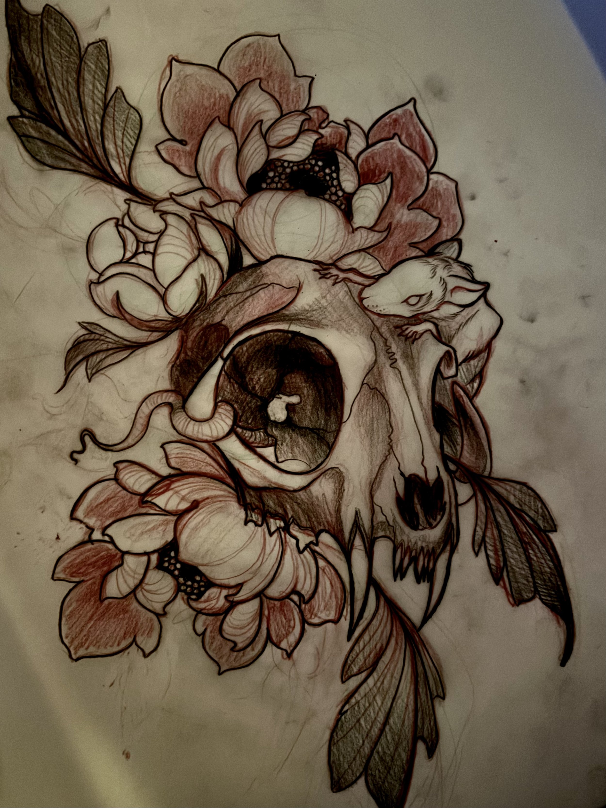 A detailed drawing of a animal skull, possibly a fox or similar, surrounded by flowers, leaves, a snail, and a rat, with black and red ink outlines.