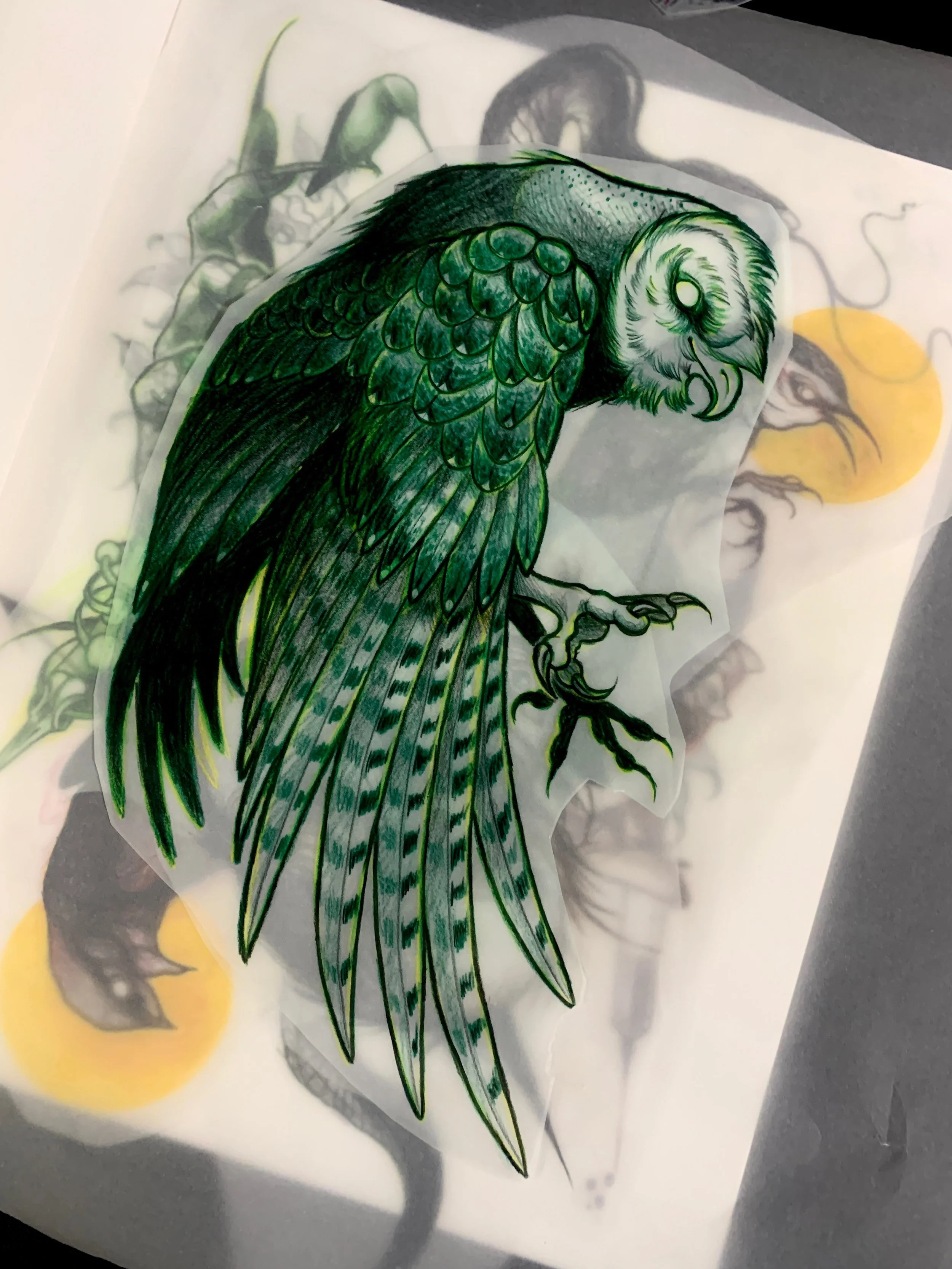 Colorful drawing of a green and black detailed barn owl.