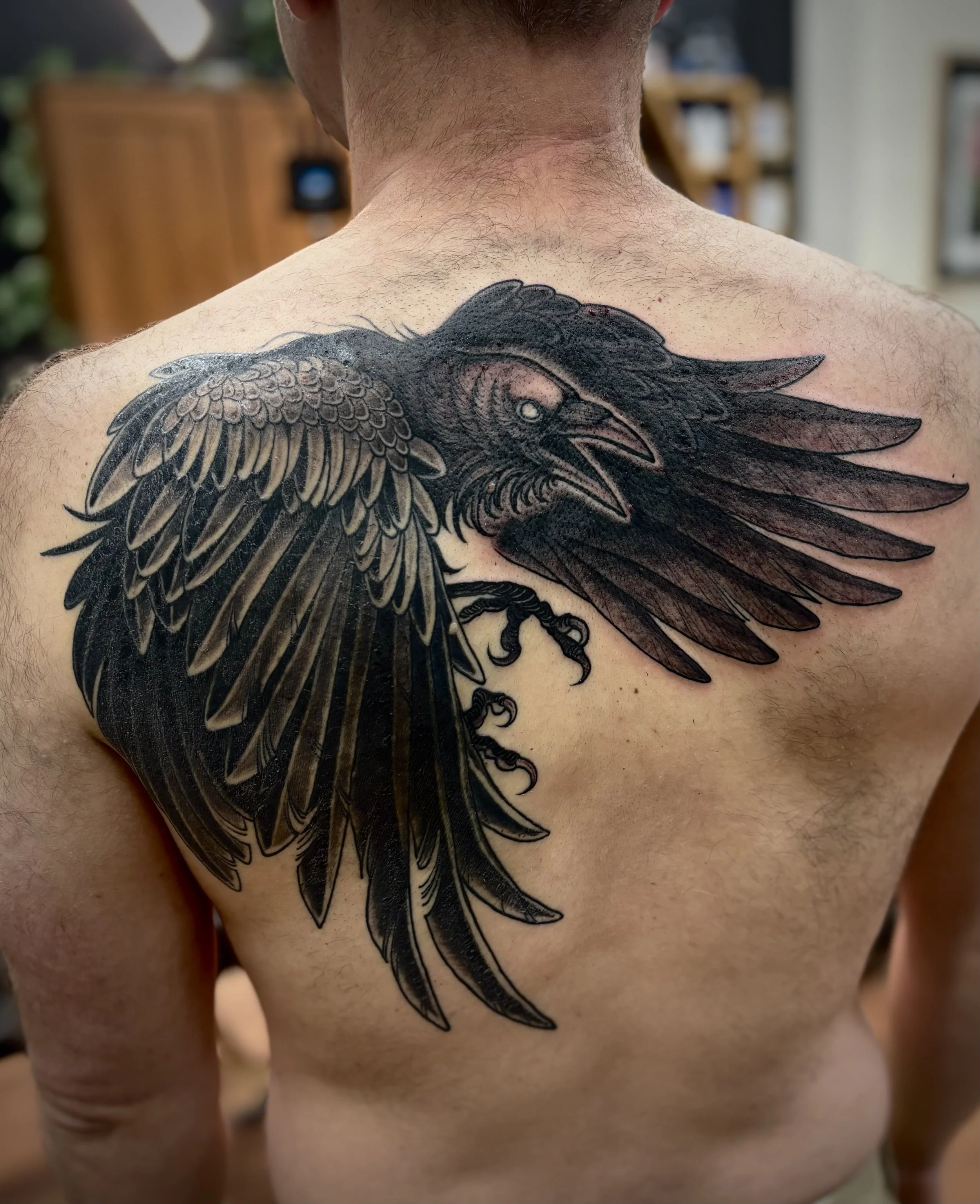 Black and gray tattoo of a raven, with its wings spread wide across a person's upper back.
