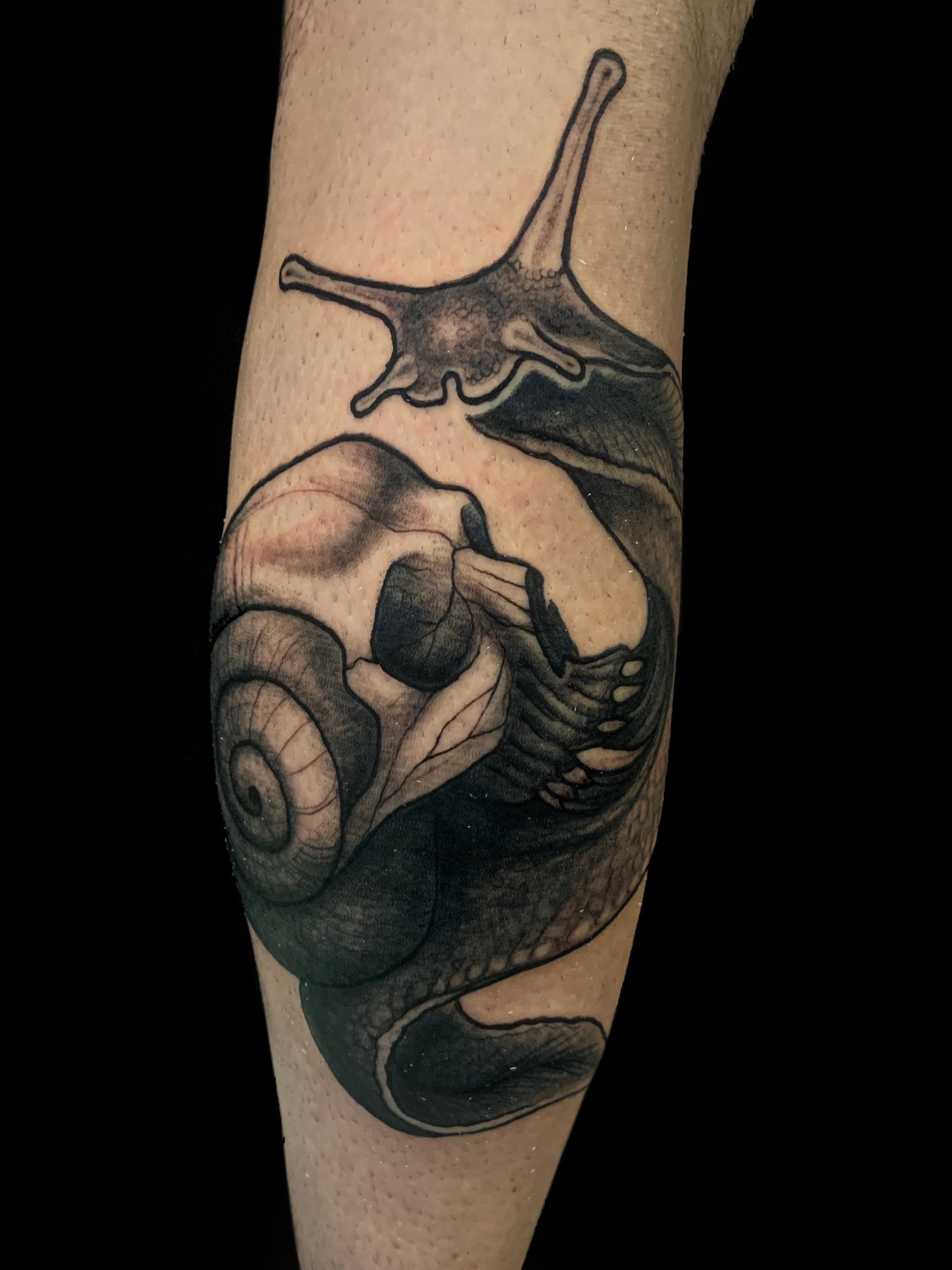 Black and gray tattoo of a snail with a human skull shell.