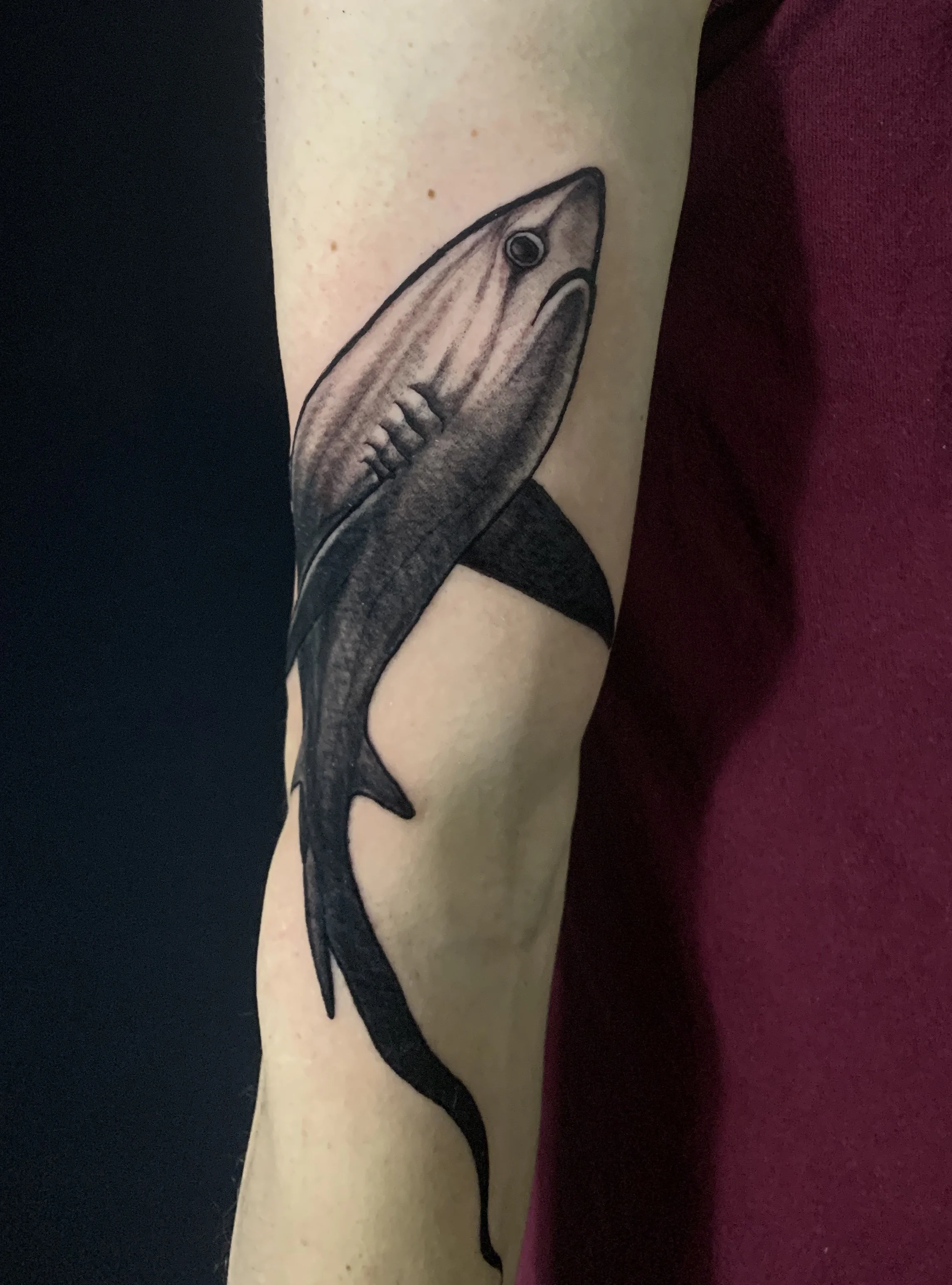 A black and gray tattoo of a shark on a person's upper arm.