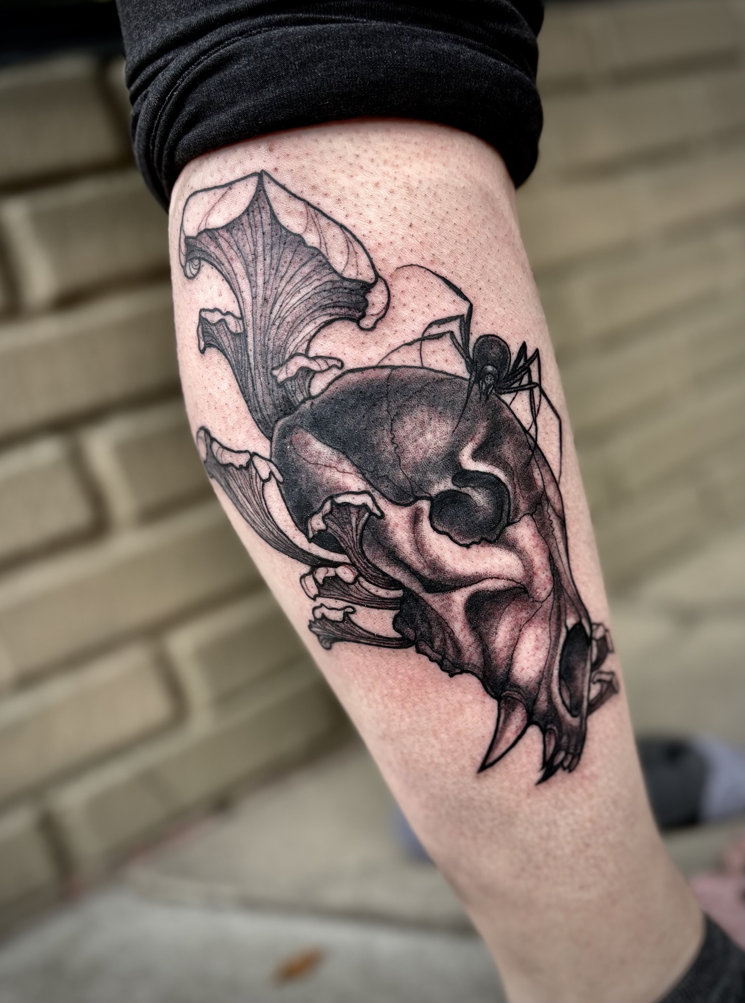Tattoo of a bat skull with detailed wings on person's arm.