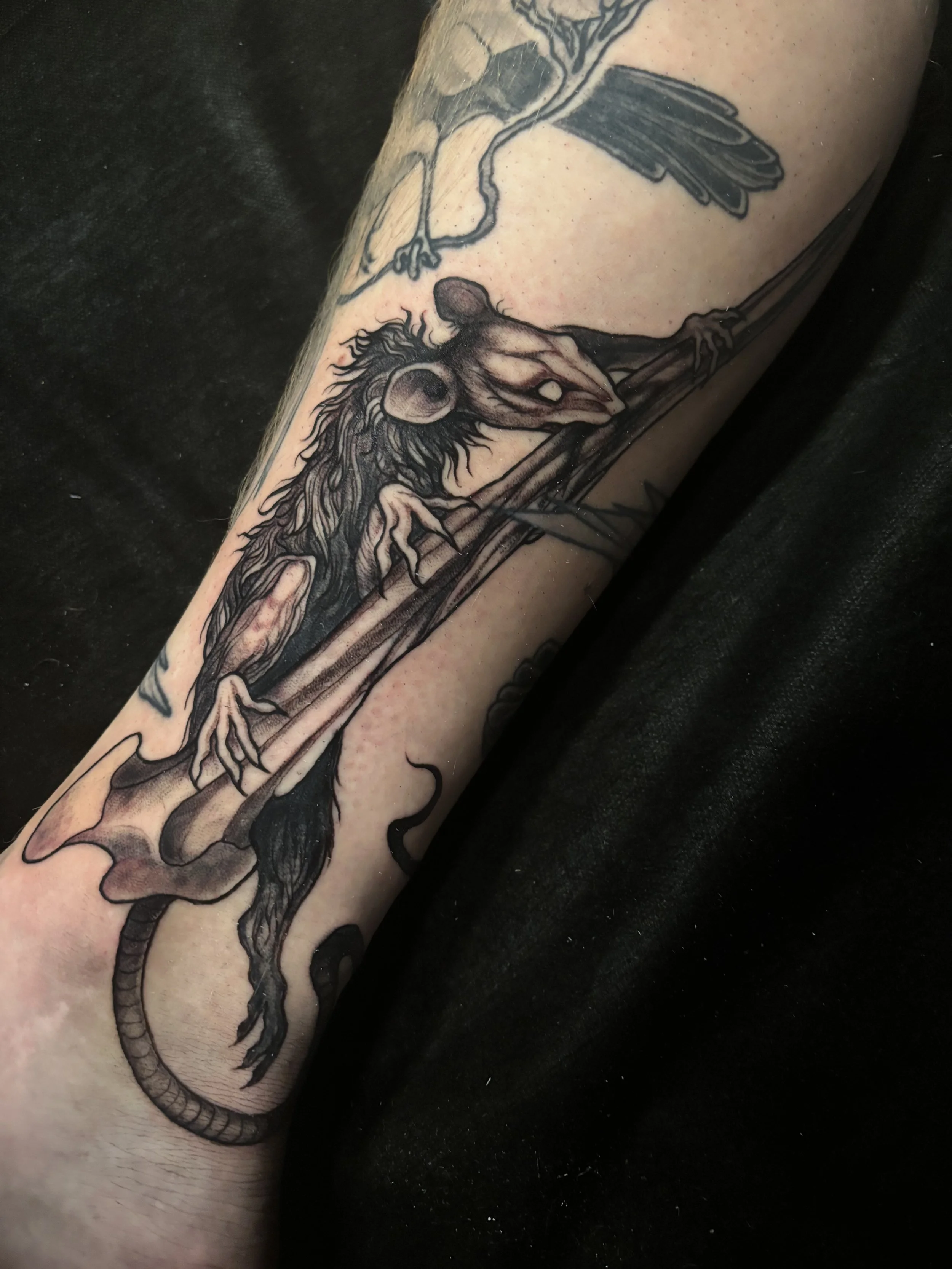 Black and gray tattoo of a rat chewing on a femur bone on a person's calf.