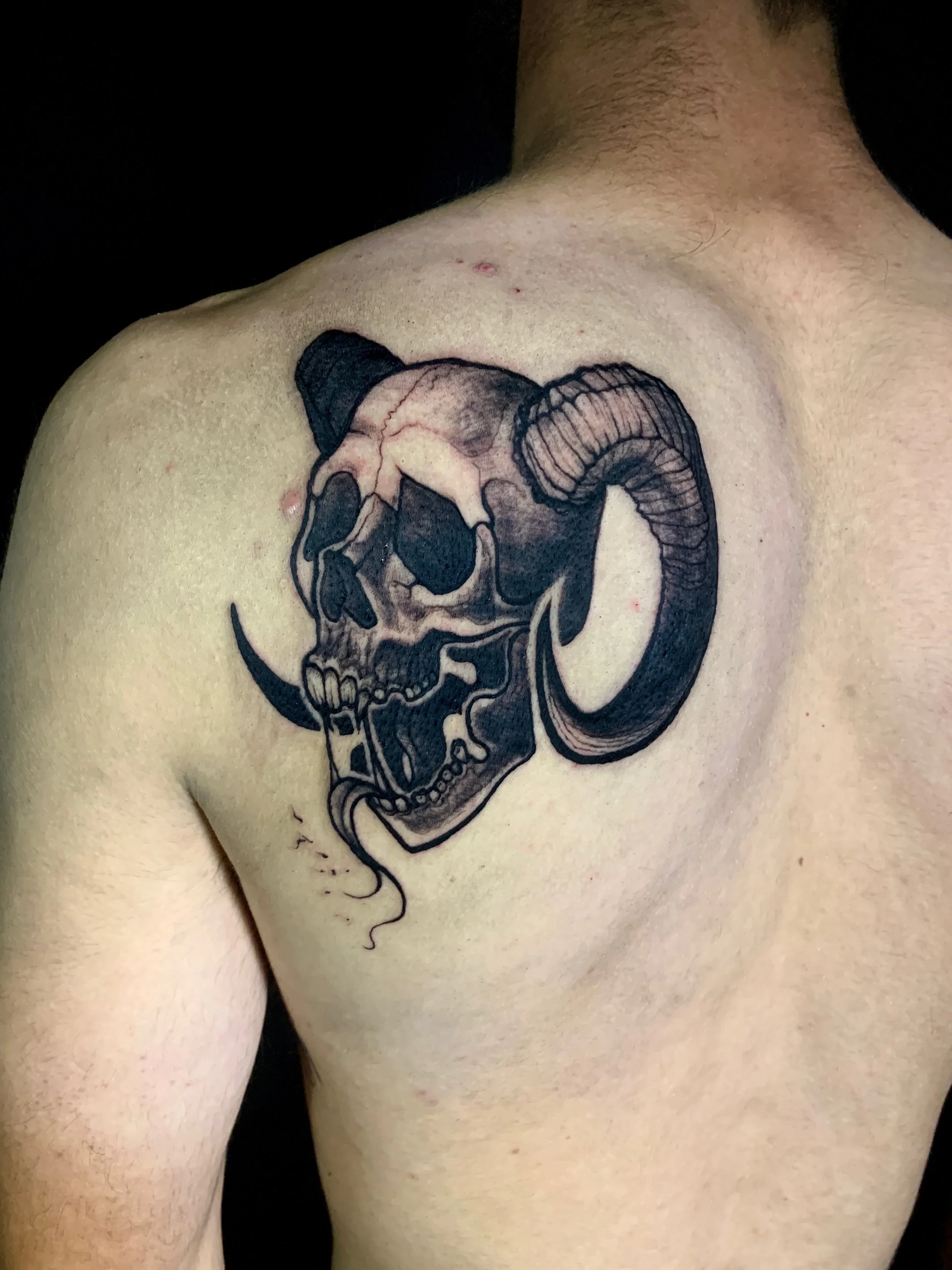 Tattoo of a human skull with large, curved horns on a person's upper back /scapula.