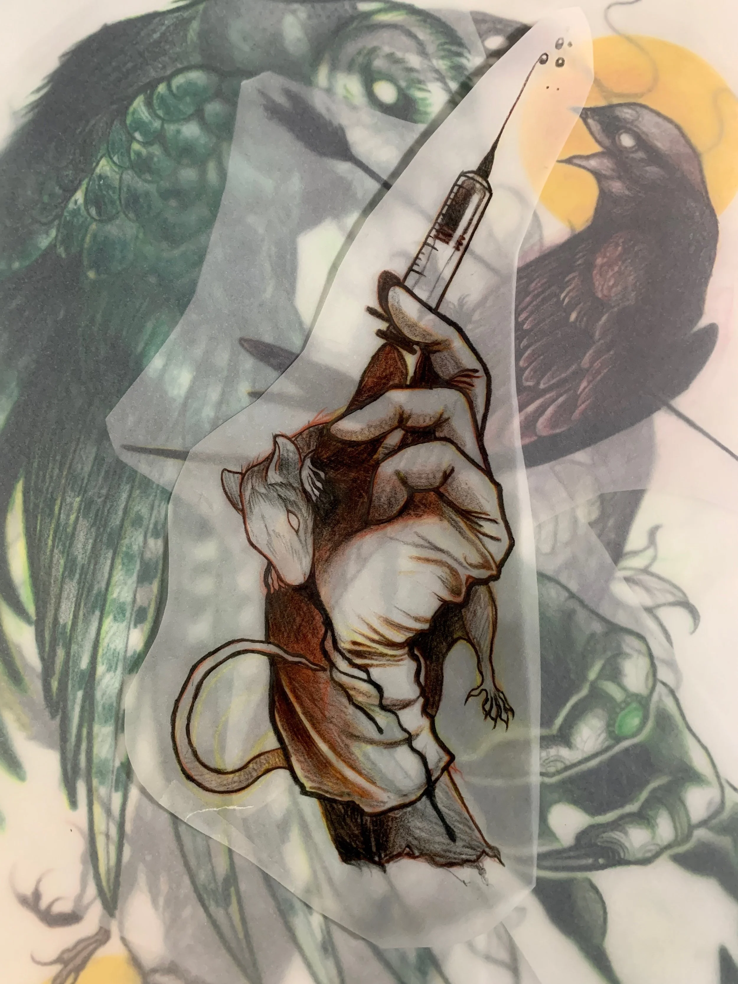 A drawing of nurse's gloved hand holding a syringe full of dark liquid, with a rat biting her hand.