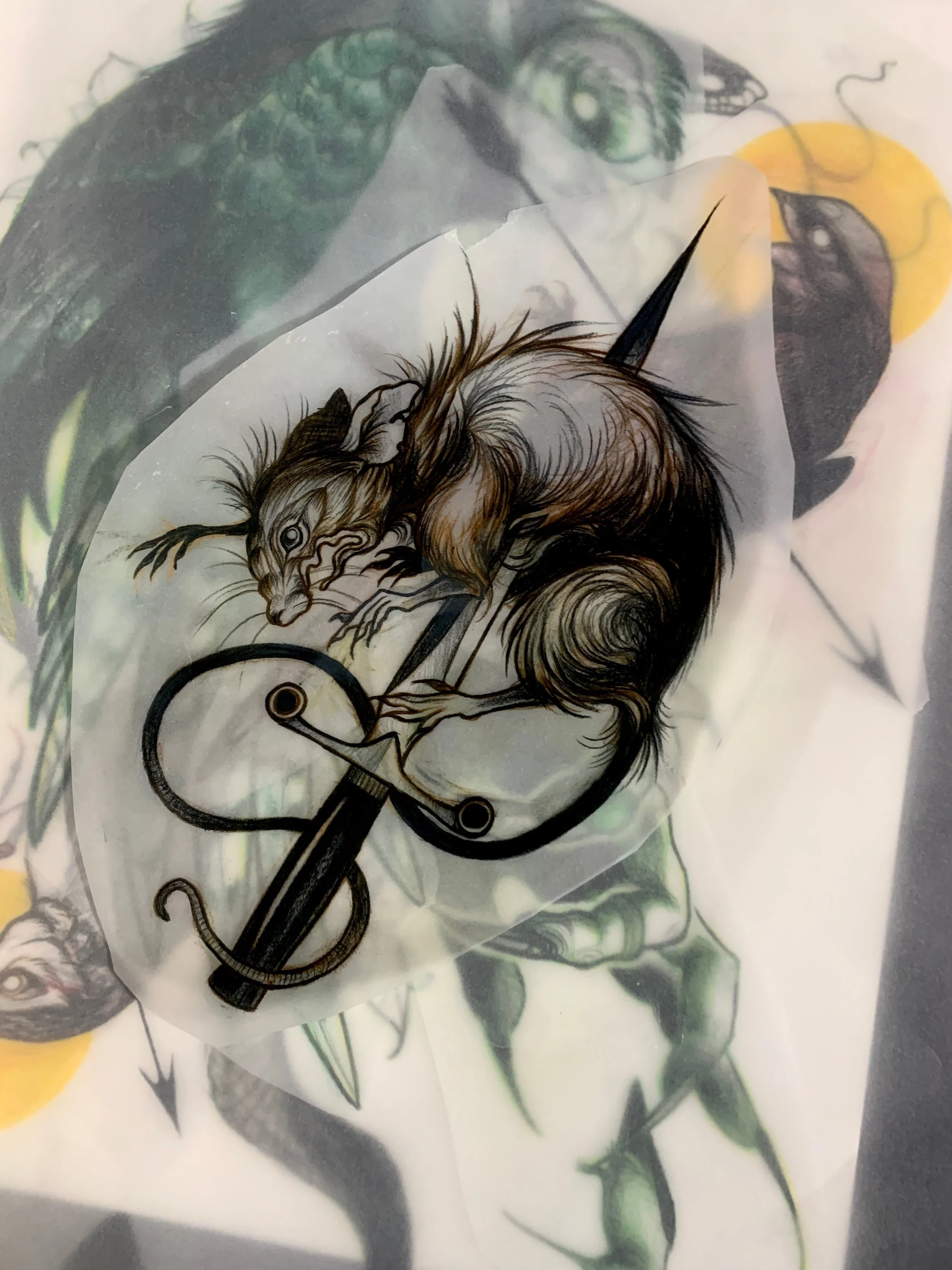 Tattoo design of a rat being pierced by a dagger with an agonized expression on its face.