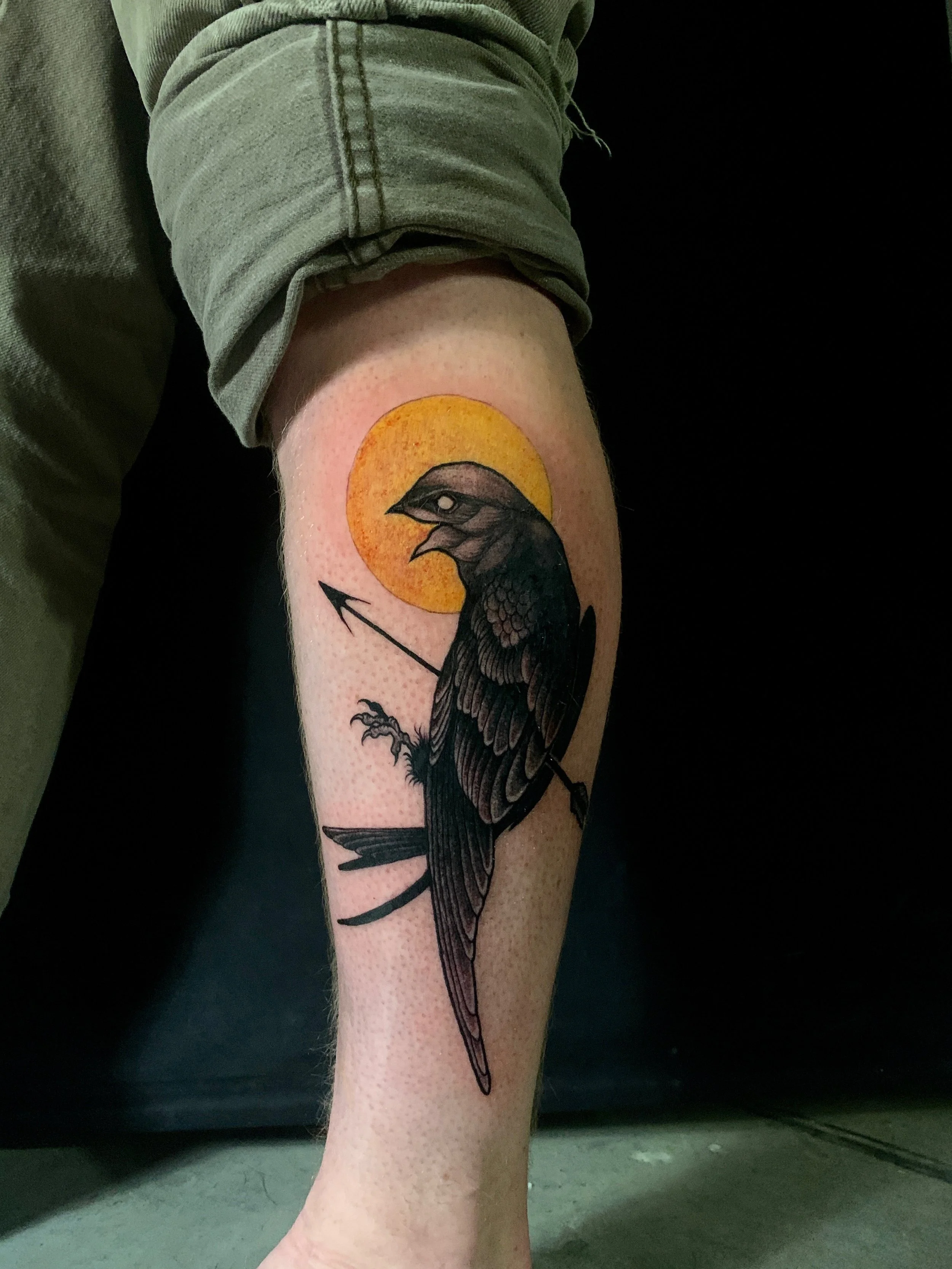 Tattoo of a black bird, possibly a crow, perched with an arrow through its body, with an orange sun behind it on a person's calf.