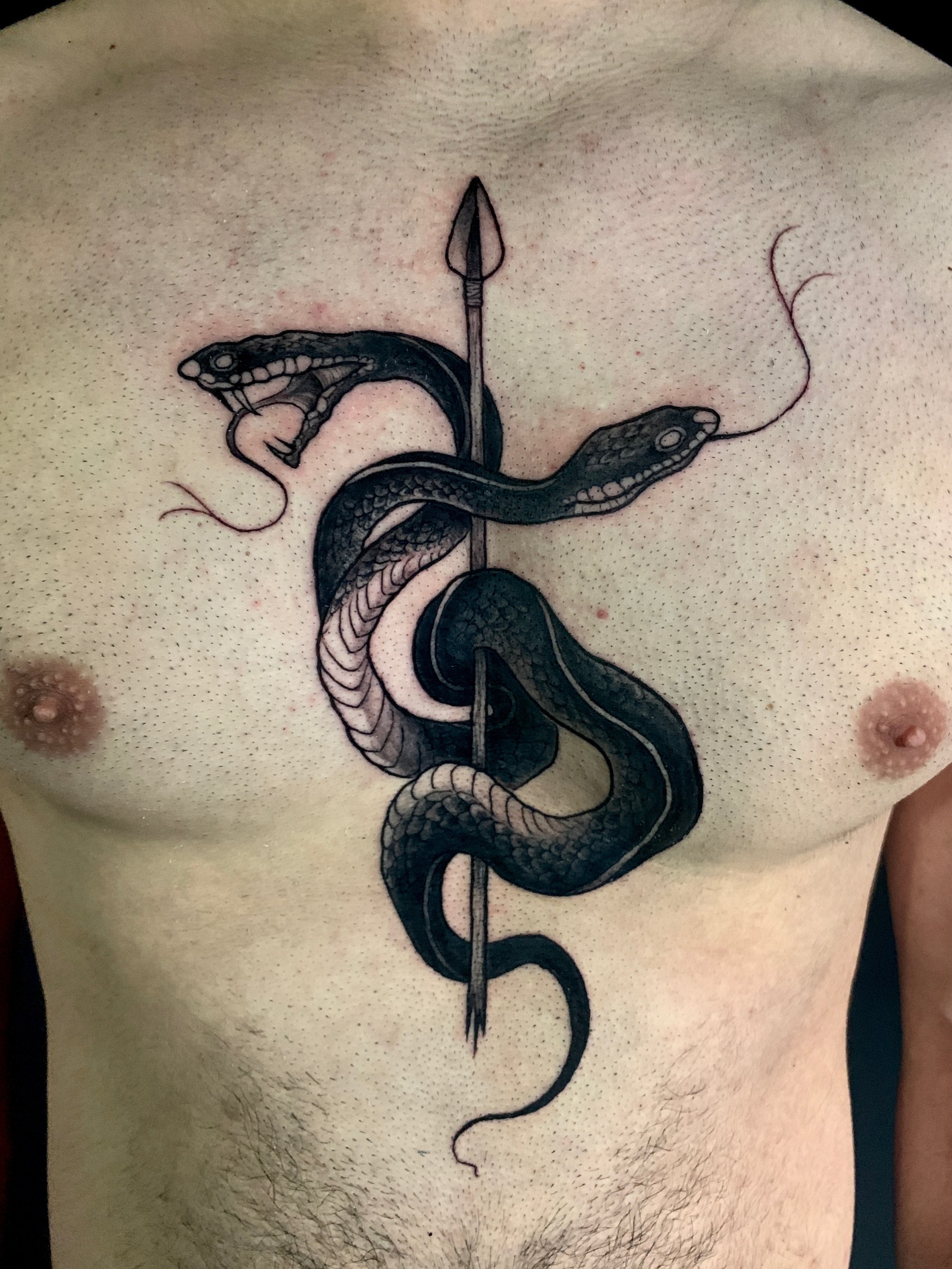 Tattoo of a two-headed snake intertwined with an arrow on a person's chest.