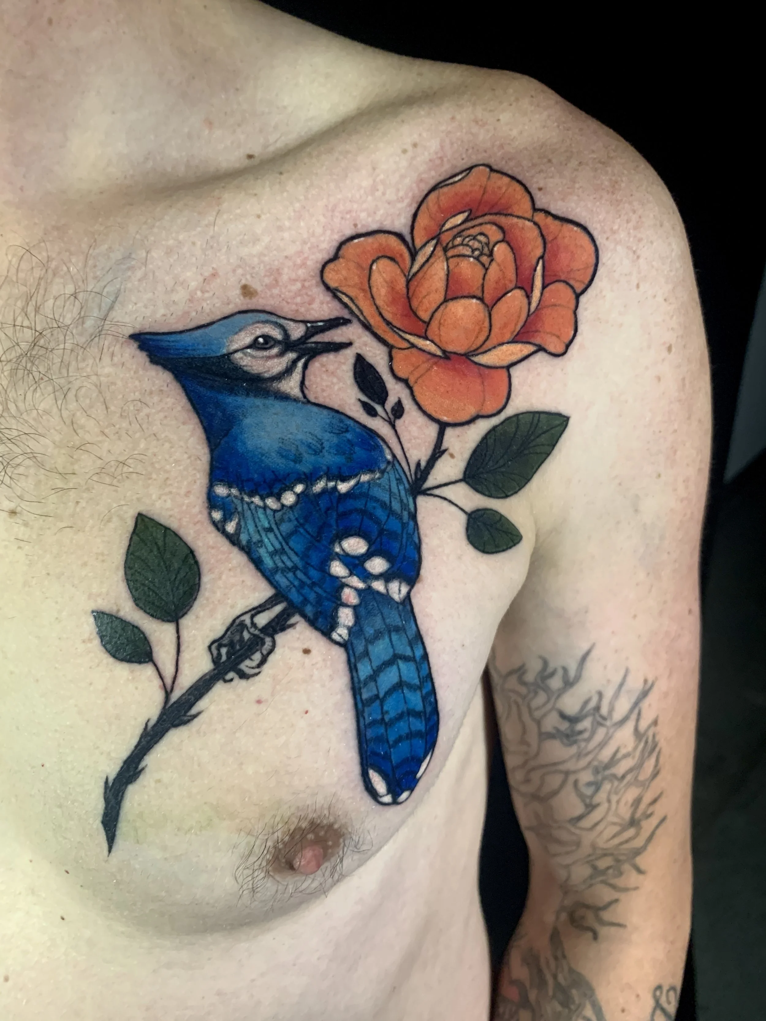 Tattoo of a blue jay bird perched on a branch with green leaves, near an orange rose on a person's chest.