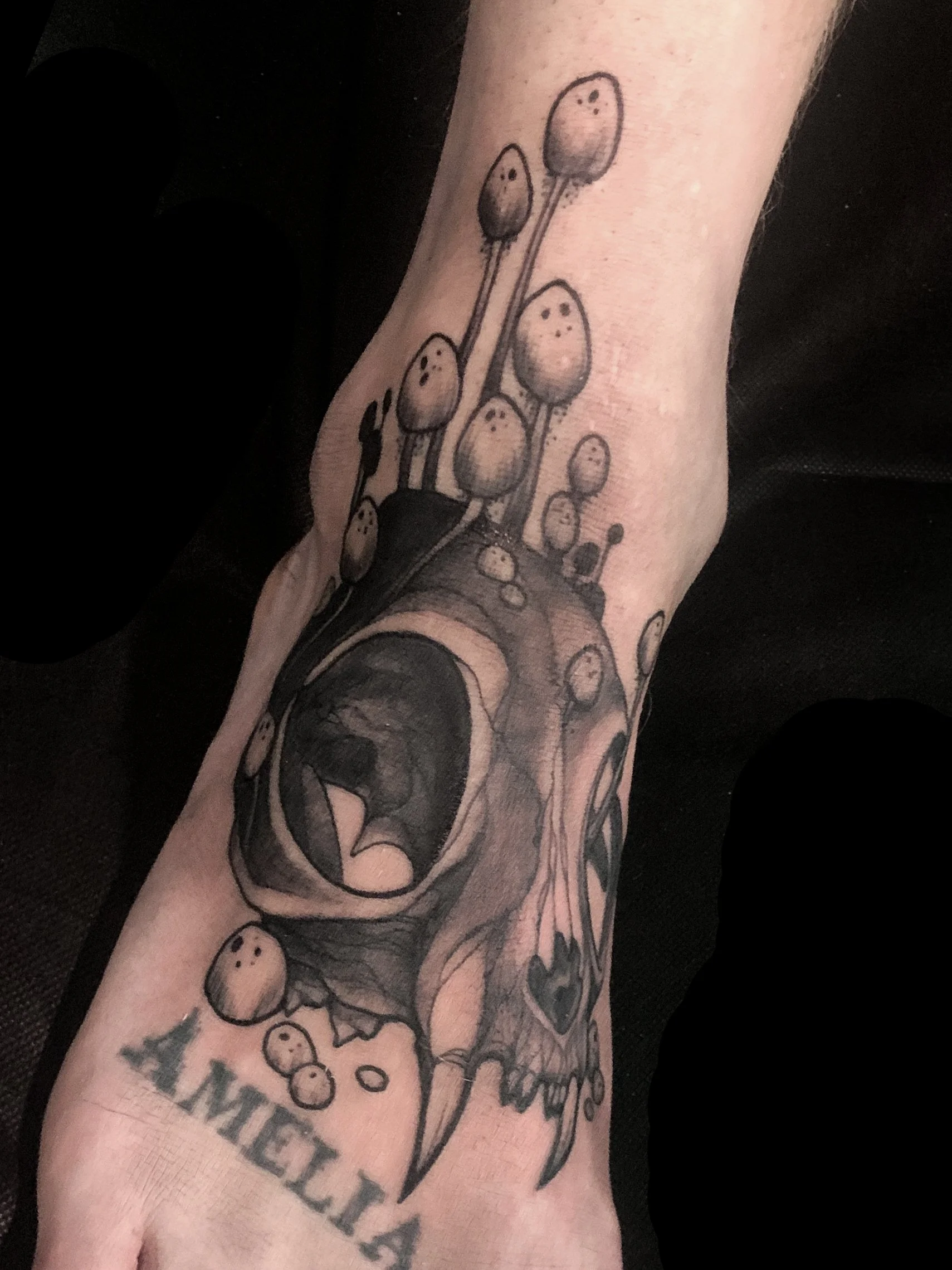 Black and grey tattoo of a cat skull with mushrooms growing around and above it.
