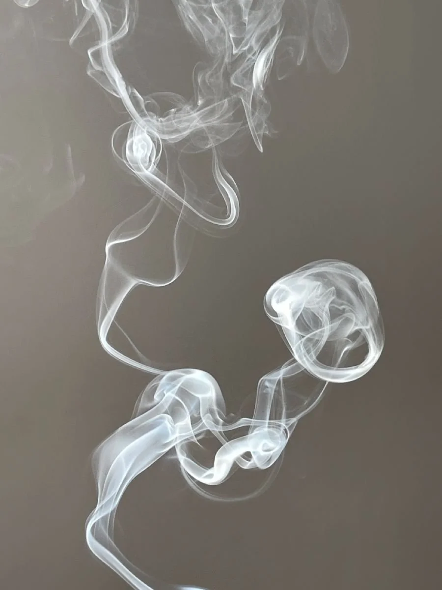 STEP 9 — Inflammation, Immunity &amp; Mast Cells: Why The Immune System Shapes Your Melasma