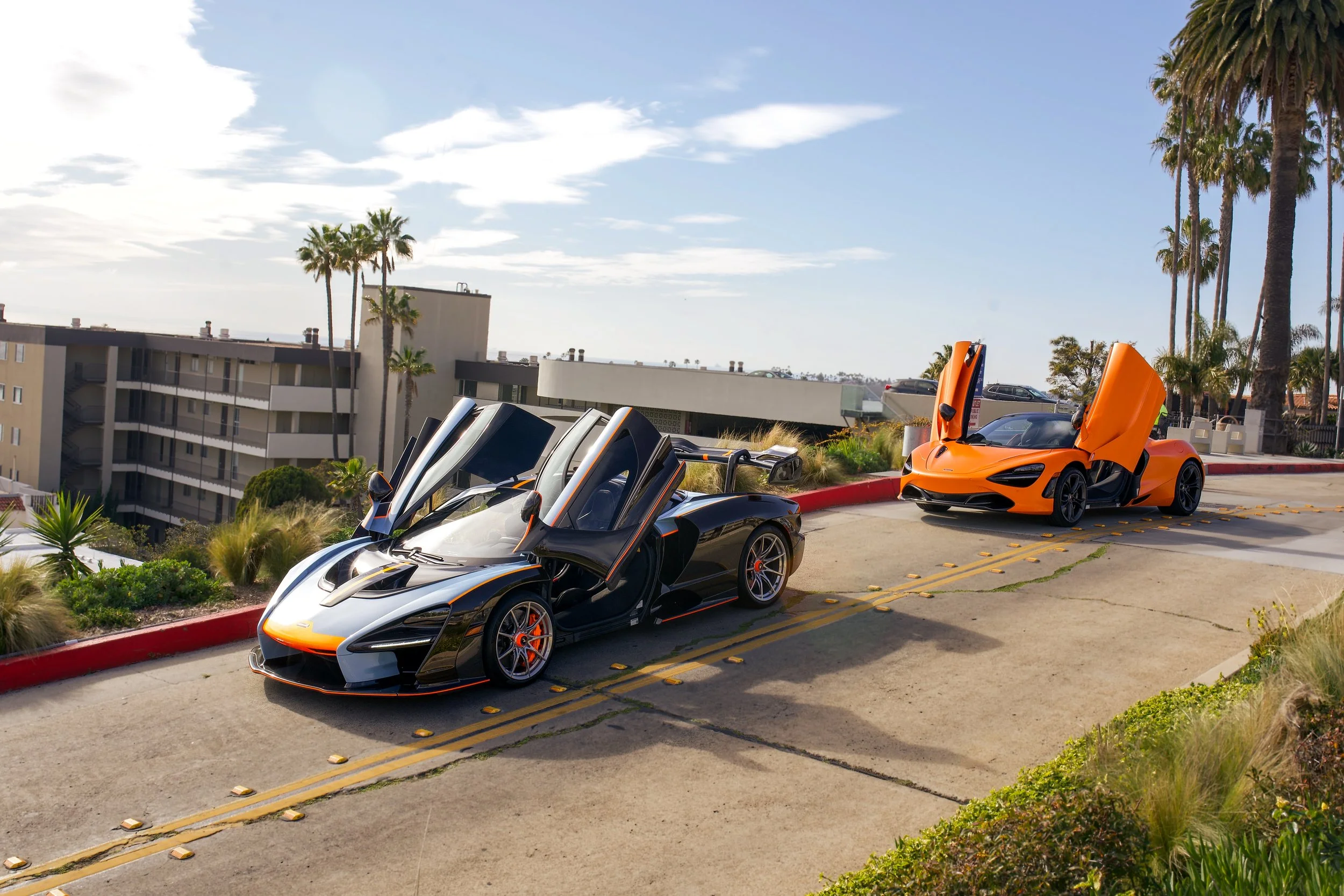 3916CB0D-0D68-467A-A58E-3F6237F7E512_1_100_o (1).jpg