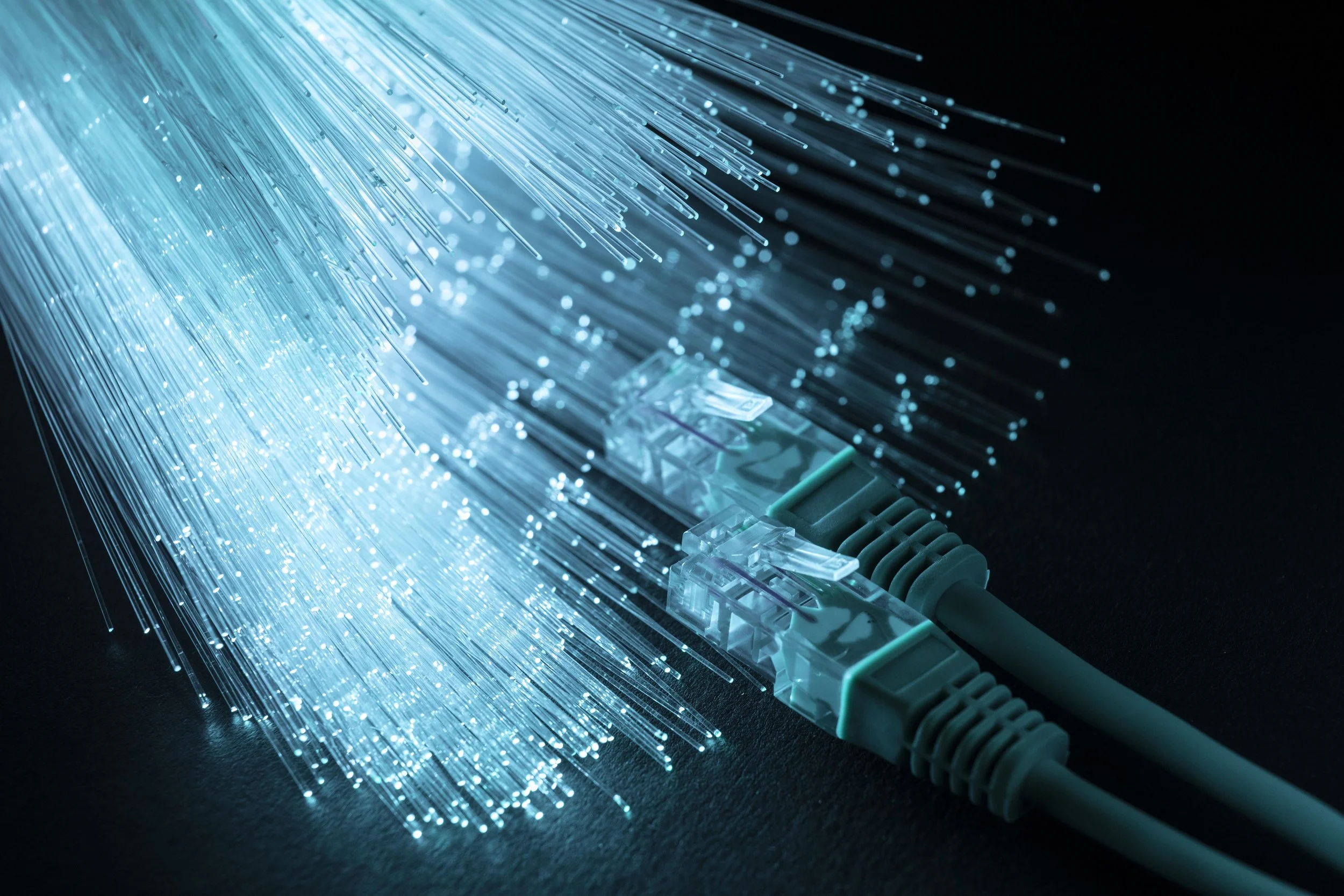 Close-up of illuminated fiber optic cables and two Ethernet cables on a dark background.